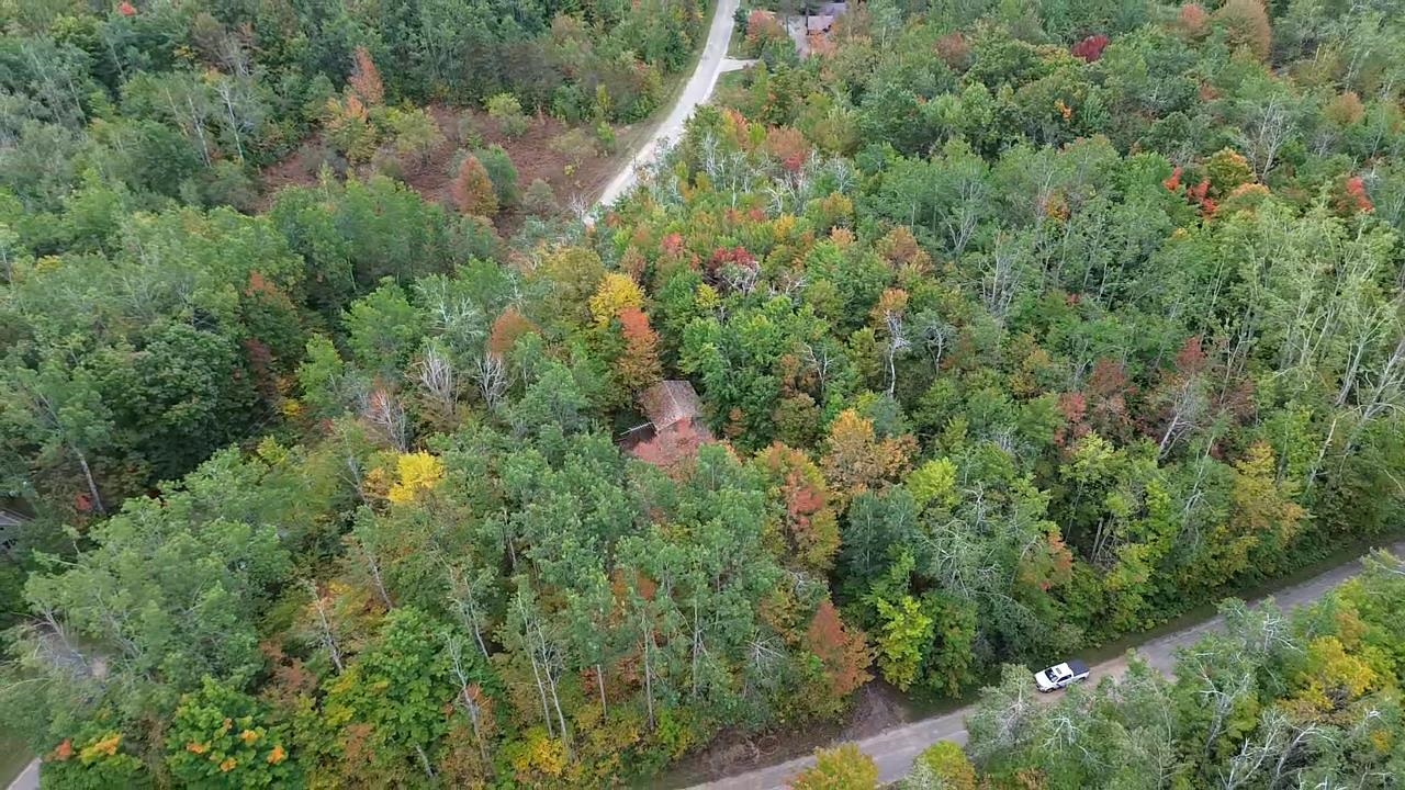 Homes for sale in Mancelona, MI | 6586 Breezewood Dr, Mancelona, MI 49659 | MLS# 80062173