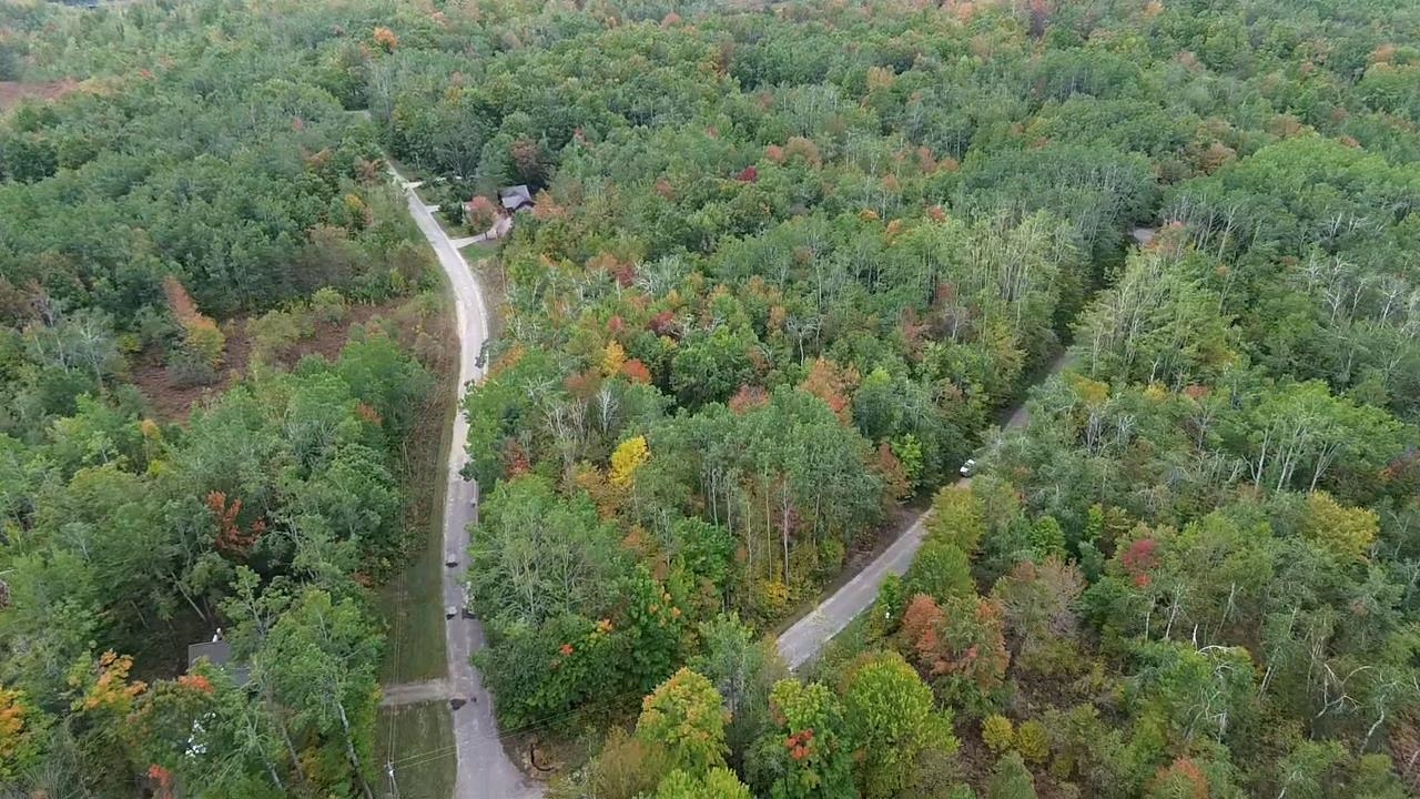 Homes for sale in Mancelona, MI | 6586 Breezewood Dr, Mancelona, MI 49659 | MLS# 80062173