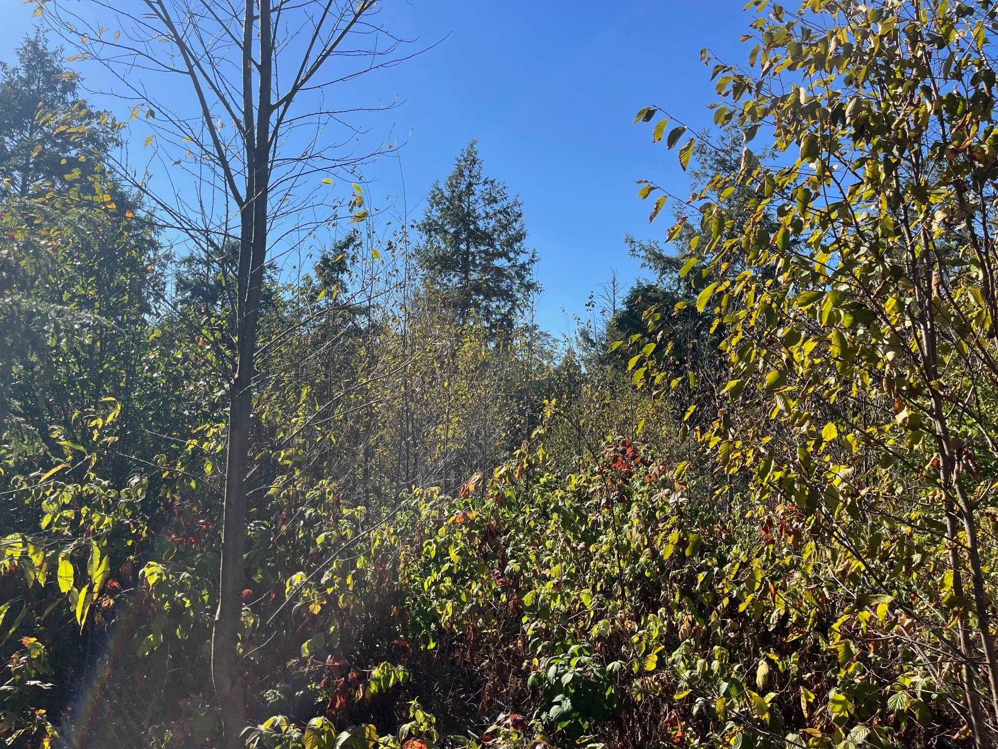 Homes for sale in Traverse City, MI | 8787 Hemlock Hill Dr, Traverse City, MI 49685 | MLS# 80062335