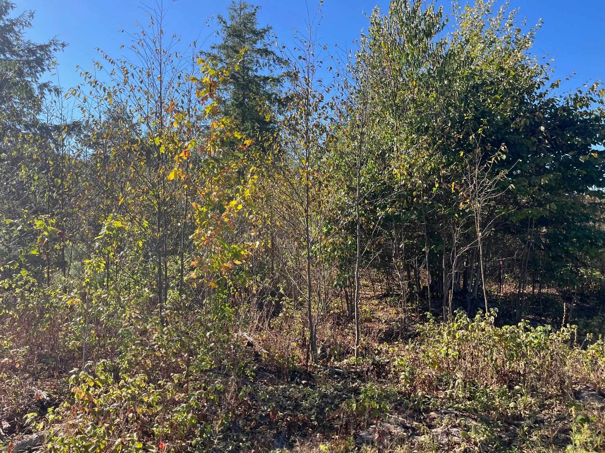 Homes for sale in Traverse City, MI | 8787 Hemlock Hill Dr, Traverse City, MI 49685 | MLS# 80062335