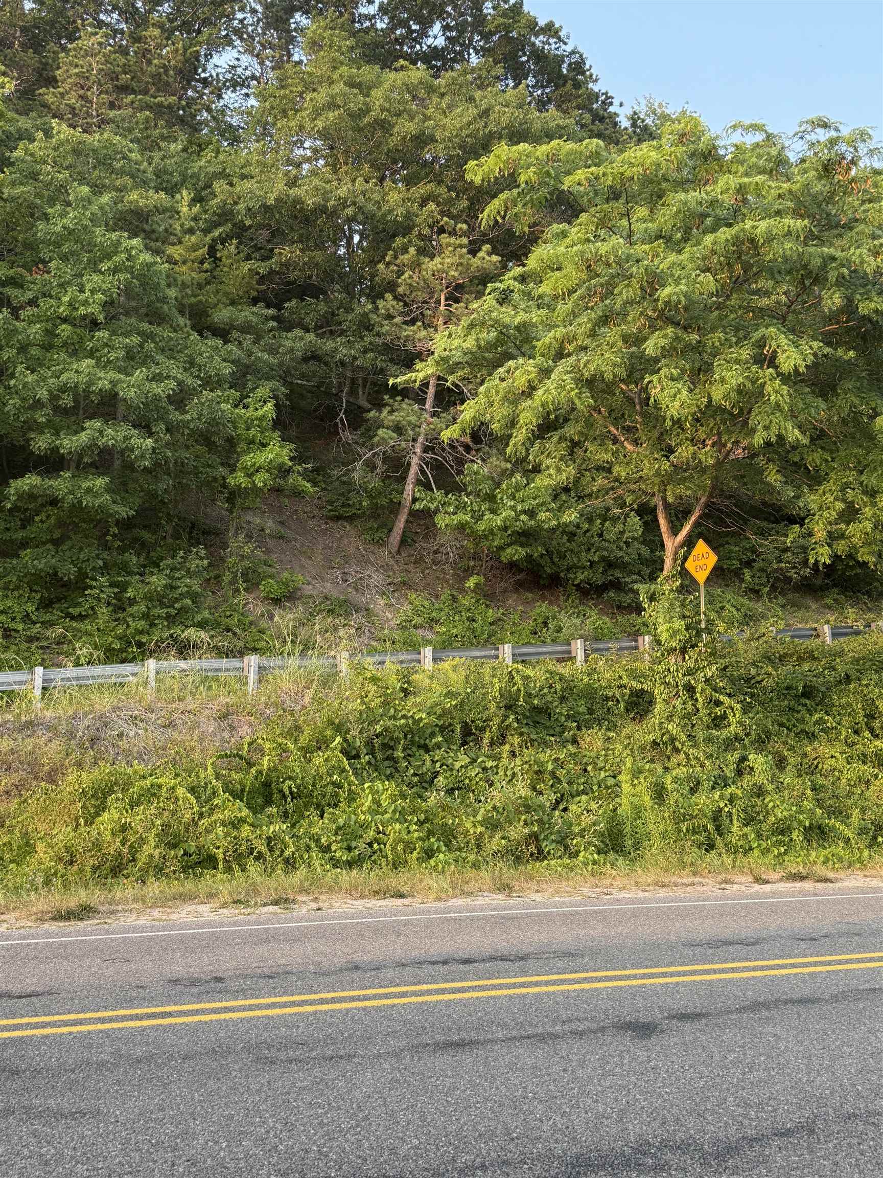 Homes for sale in Beulah, MI | 000 Arbutus Ln, Beulah, MI 49617 | MLS# 80062395