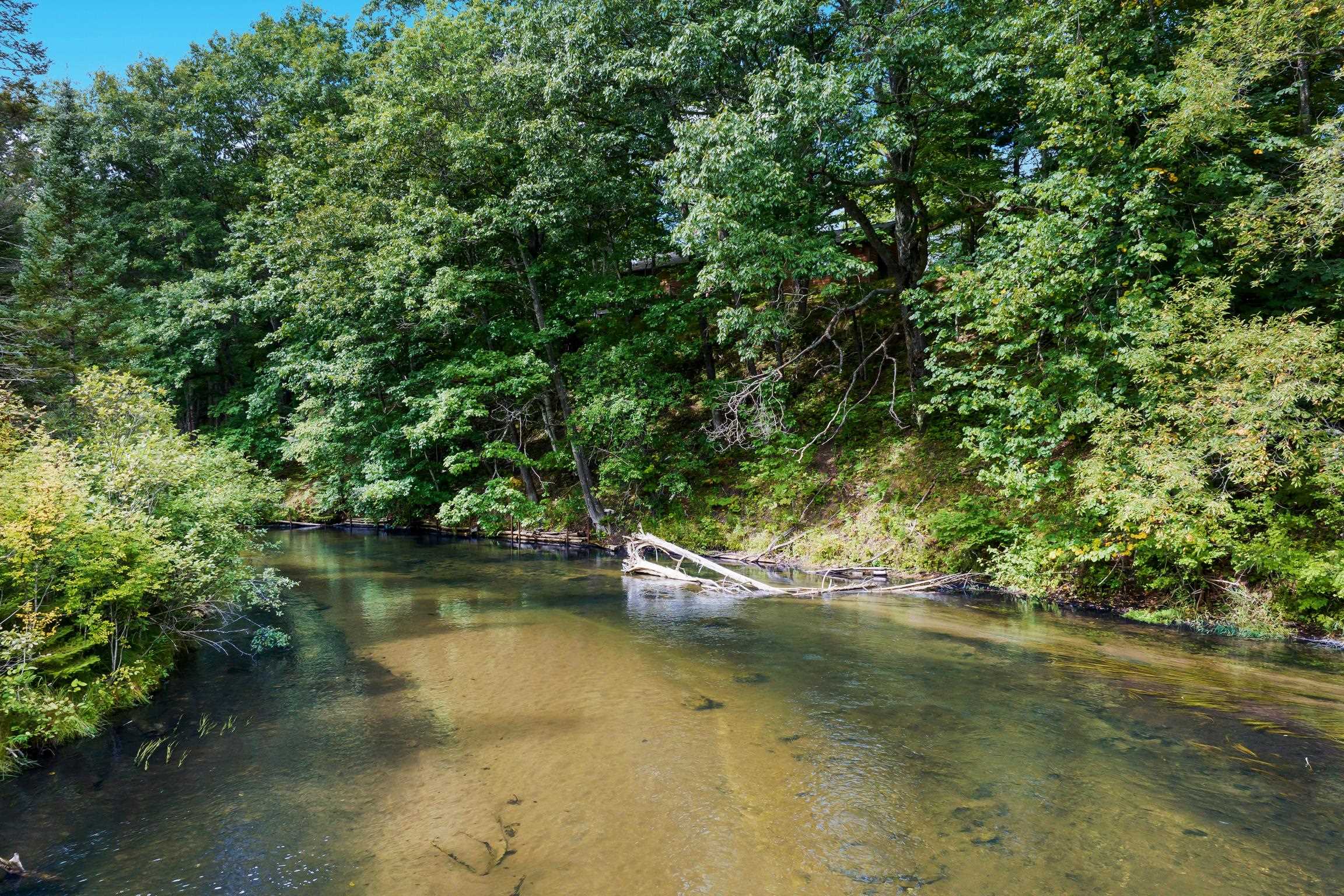 Homes for sale in Fife Lake, MI | 5440 Riverview Rd, Fife Lake, MI 49633 | MLS# 80062498