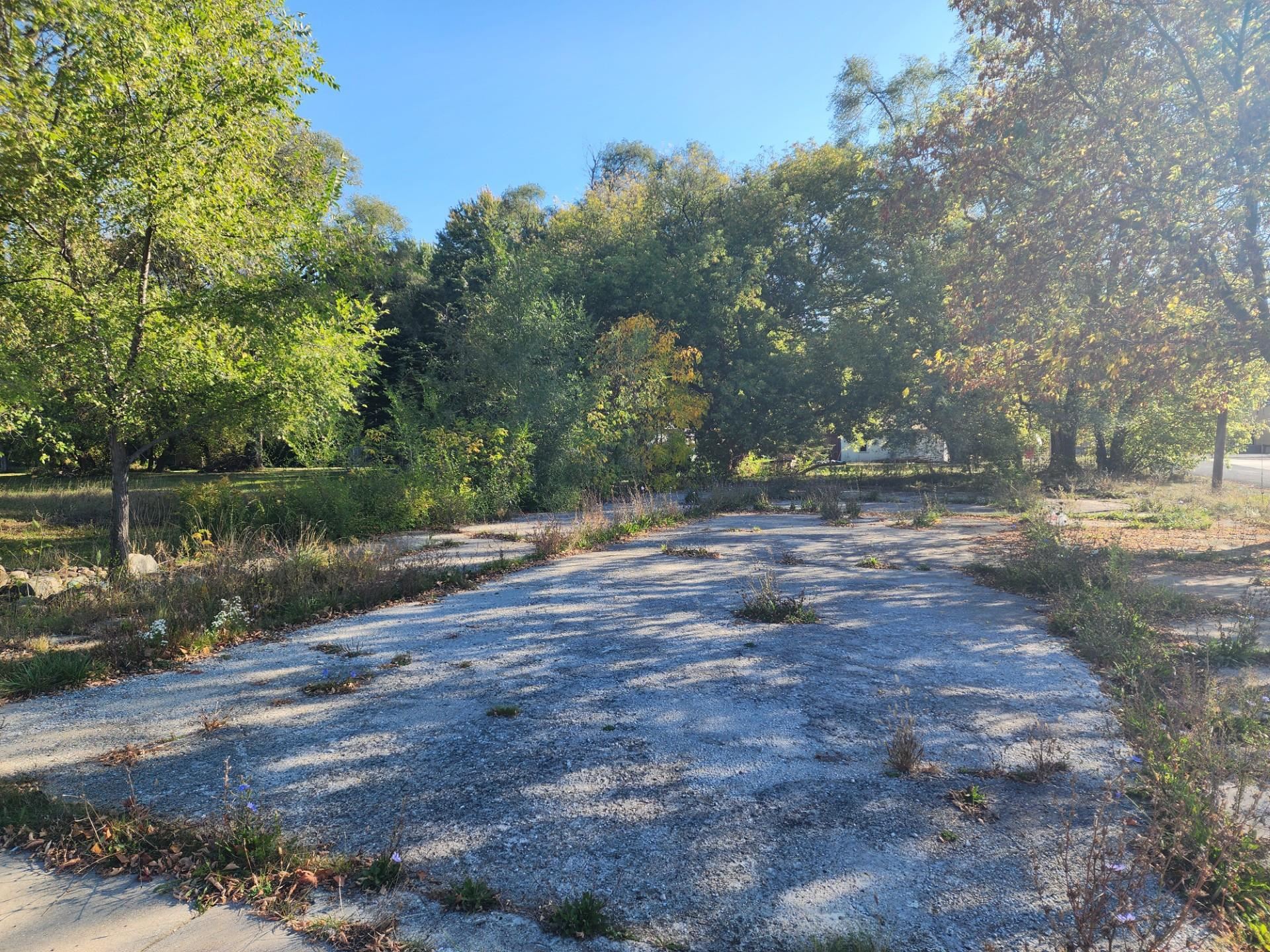 Homes for sale in Riverdale, MI | Tbd N Lumberjack Rd, Riverdale, MI 48877 | MLS# 80062649