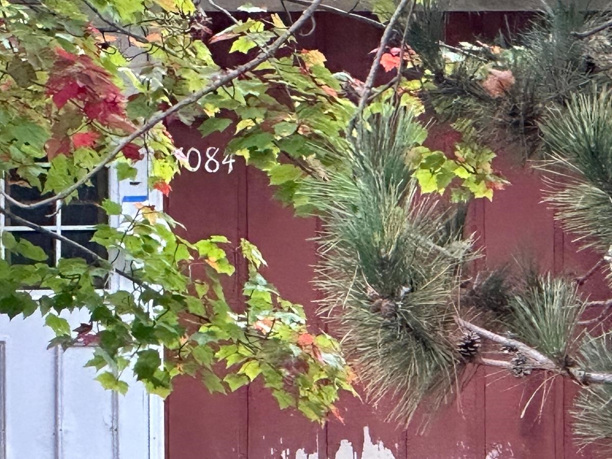 Homes for sale in Alanson, MI | 7084 Center St, Alanson, MI 49706 | MLS# 80062658