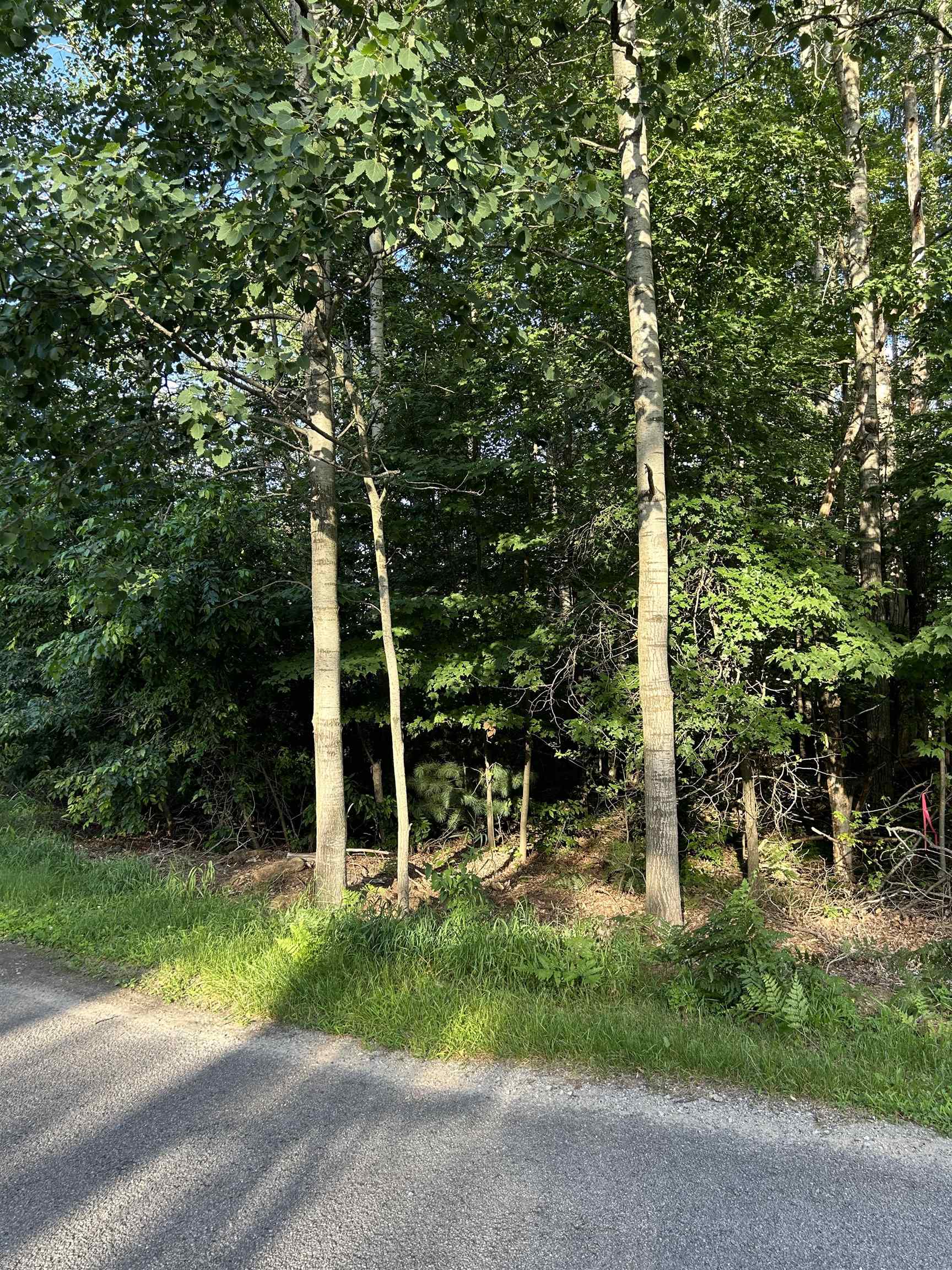 Homes for sale in West Branch, MI | 0 Whitetail Ct, West Branch, MI 48661 | MLS# 80062667