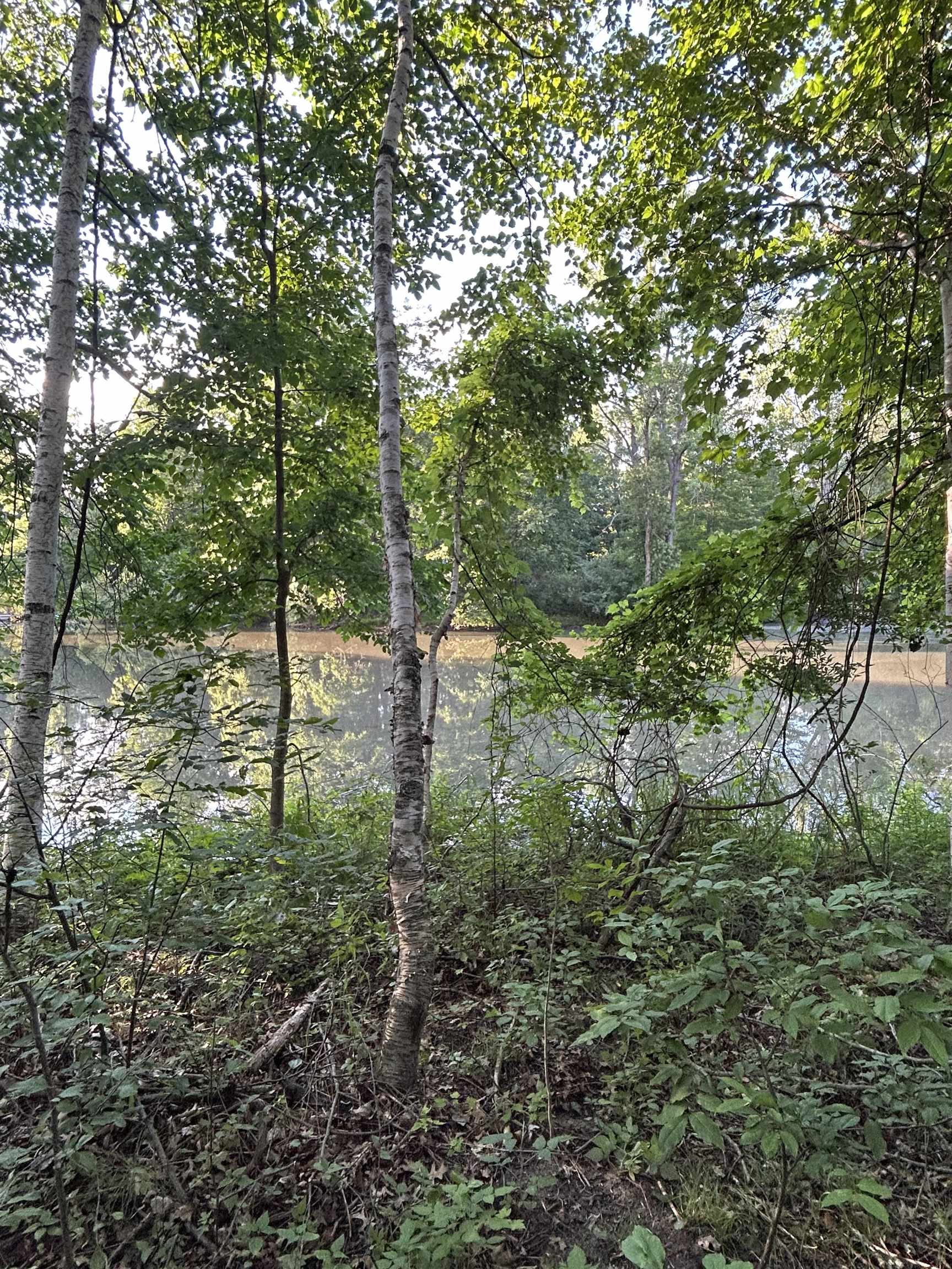 Homes for sale in West Branch, MI | 0 Whitetail Ct, West Branch, MI 48661 | MLS# 80062667