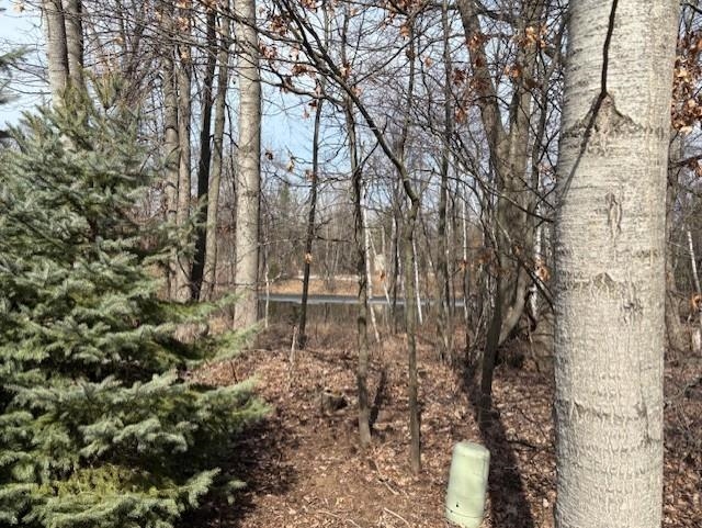 Homes for sale in West Branch, MI | 0 Whitetail Ct, West Branch, MI 48661 | MLS# 80062667