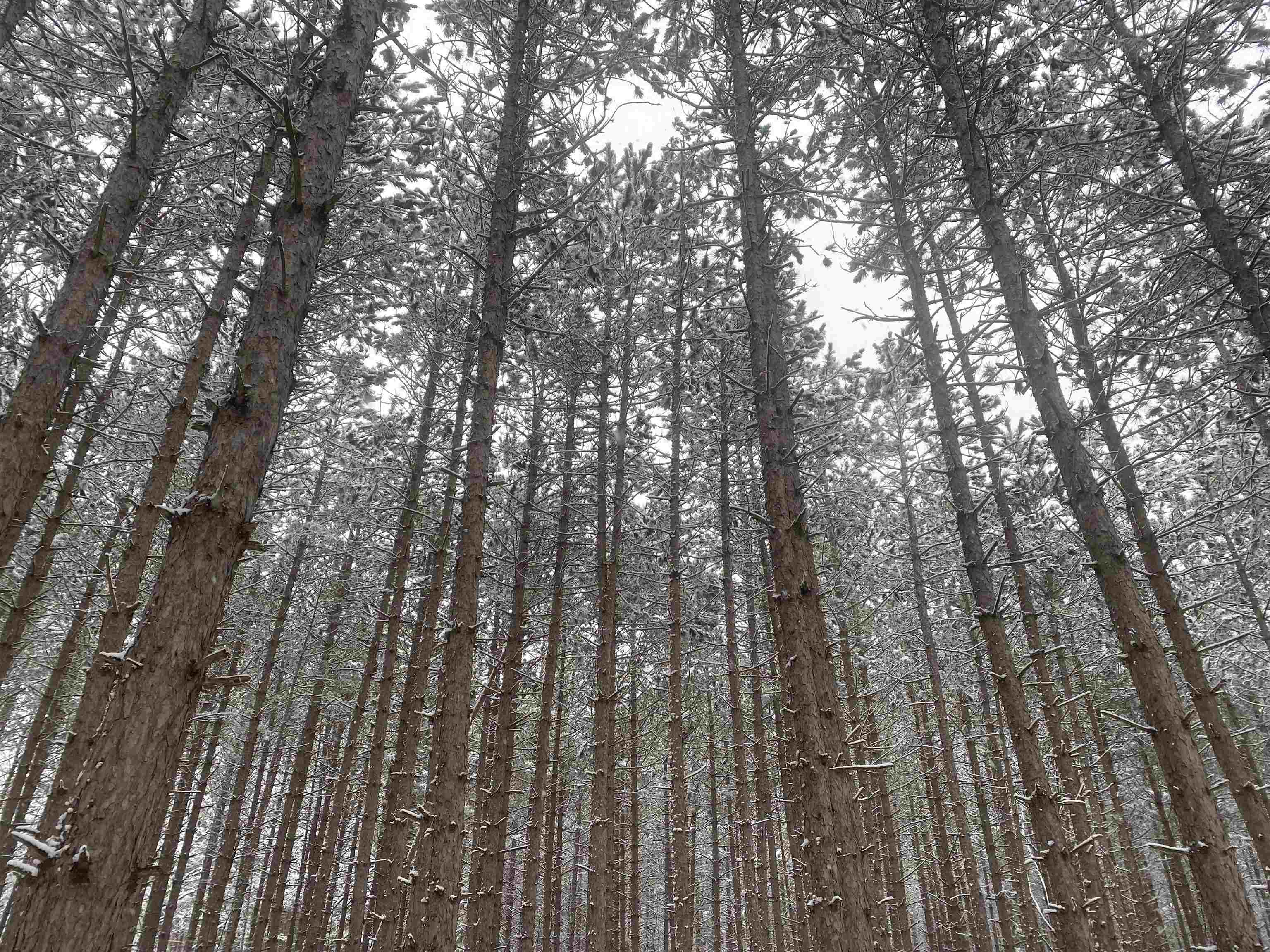 Homes for sale in Honor, MI | 5039 Indian Hill Rd, Honor, MI 49640 | MLS# 80062749