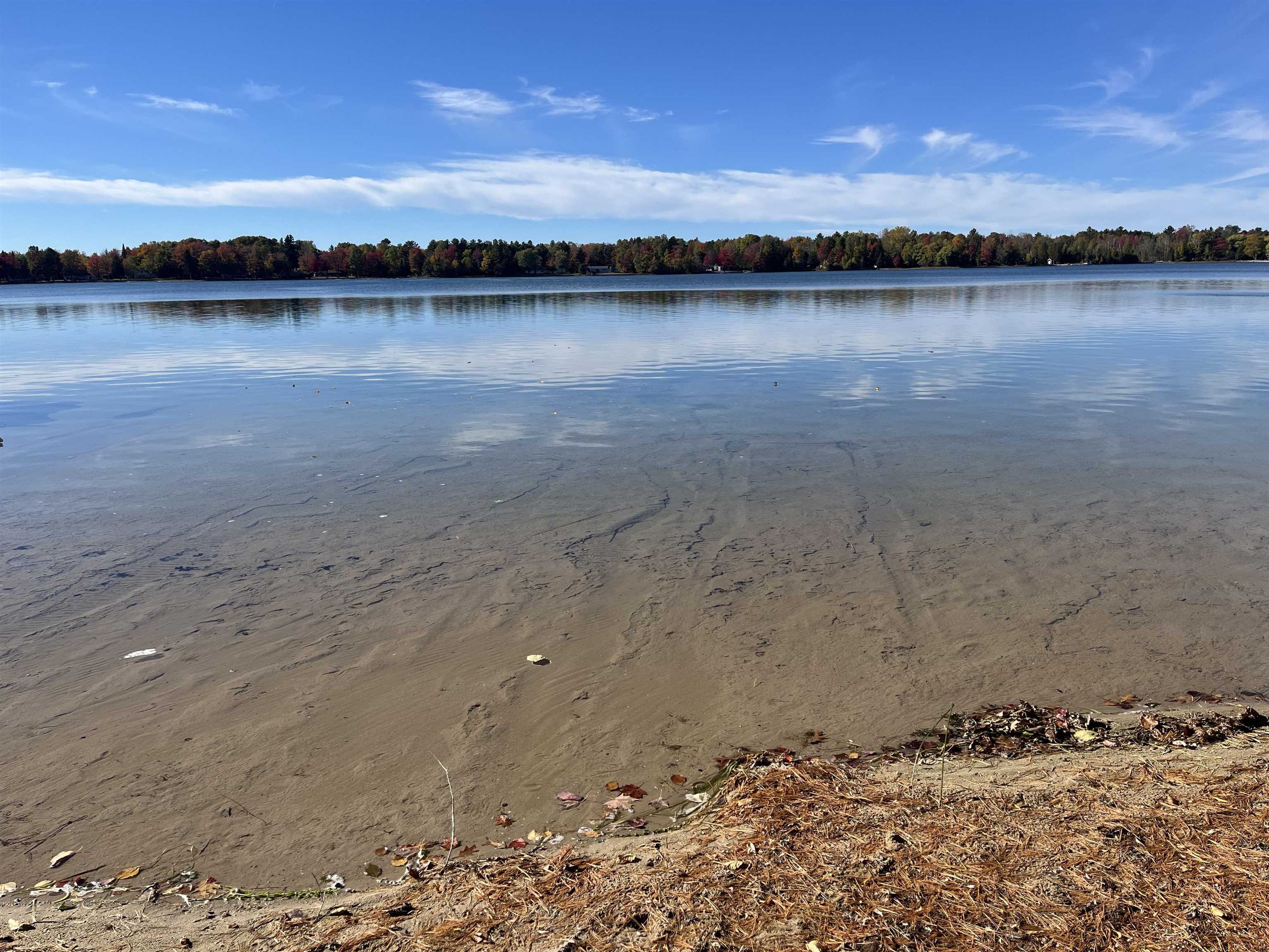 Homes for sale in Greenbush, MI | 4524 Evergreen Dr, Greenbush, MI 48738 | MLS# 80062753