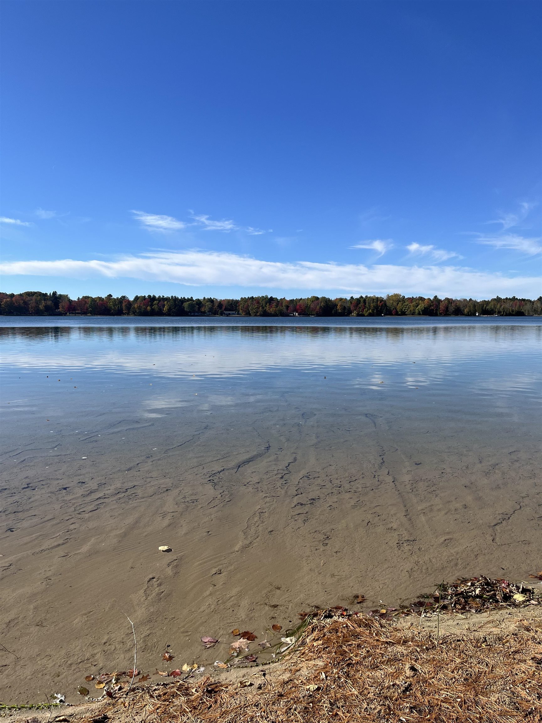 Homes for sale in Greenbush, MI | 4524 Evergreen Dr, Greenbush, MI 48738 | MLS# 80062753