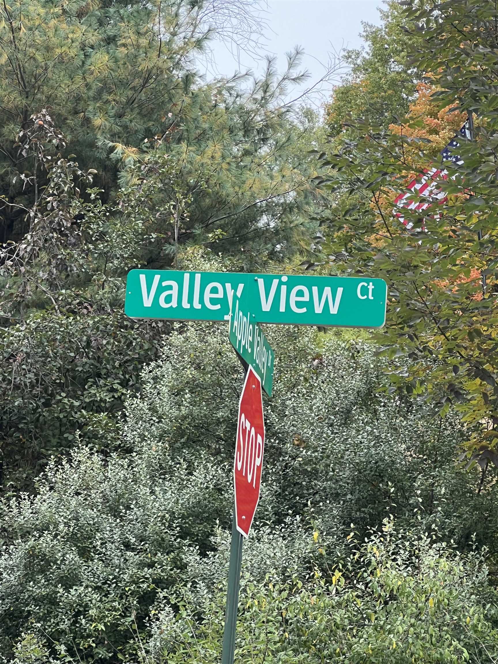 Homes for sale in Rapid City, MI | Lot 77 Valley View Ct, Rapid City, MI 49676 | MLS# 80062937