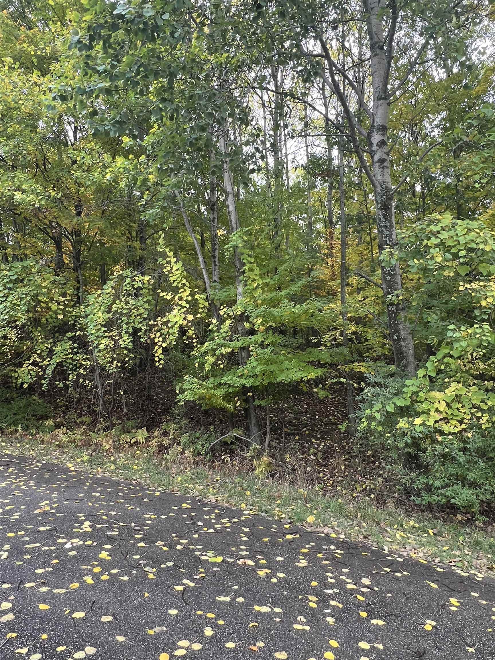 Homes for sale in Rapid City, MI | Lot 77 Valley View Ct, Rapid City, MI 49676 | MLS# 80062937