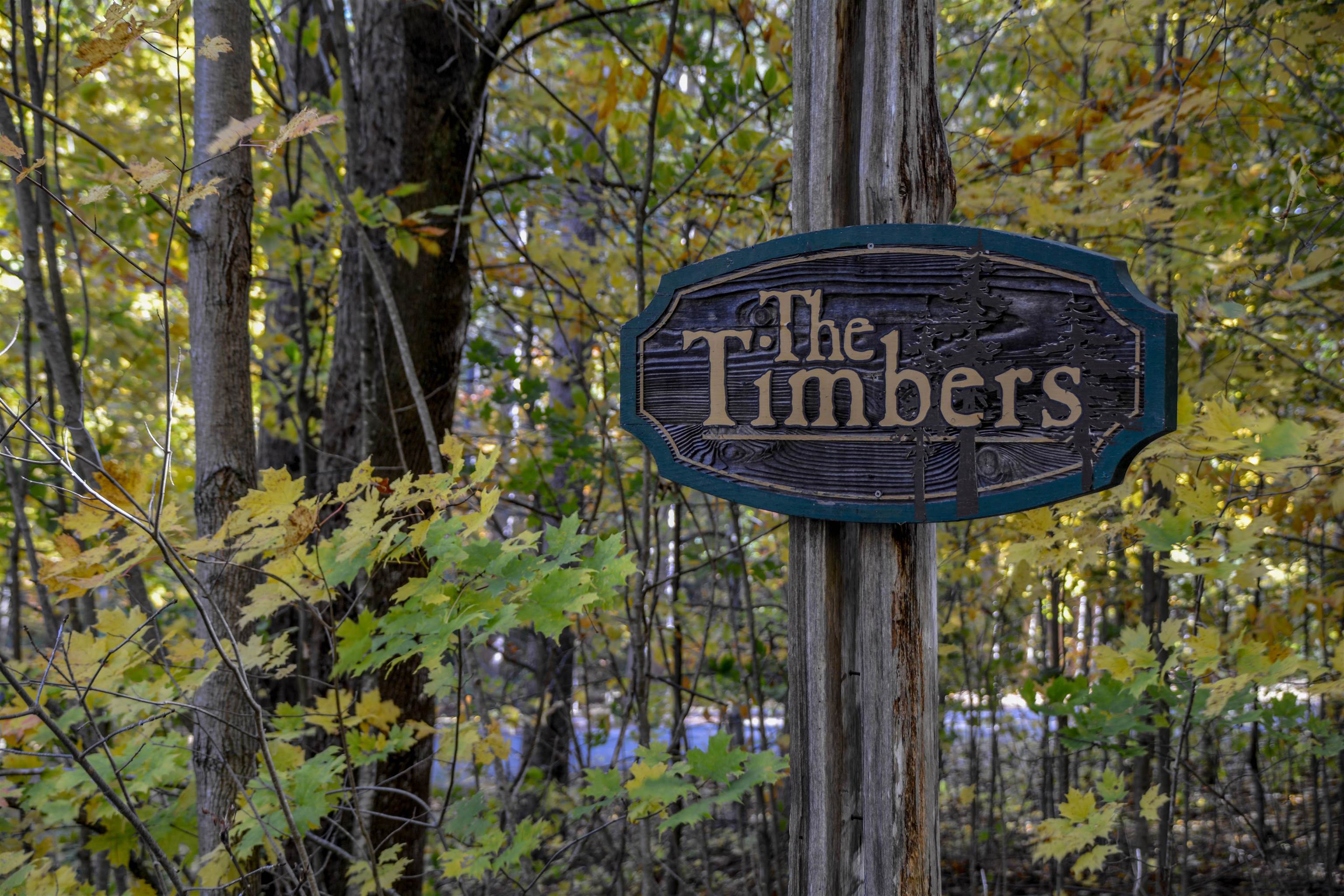 Homes for sale in Empire, MI | W Timber Ln, Empire, MI 49630 | MLS# 80063127