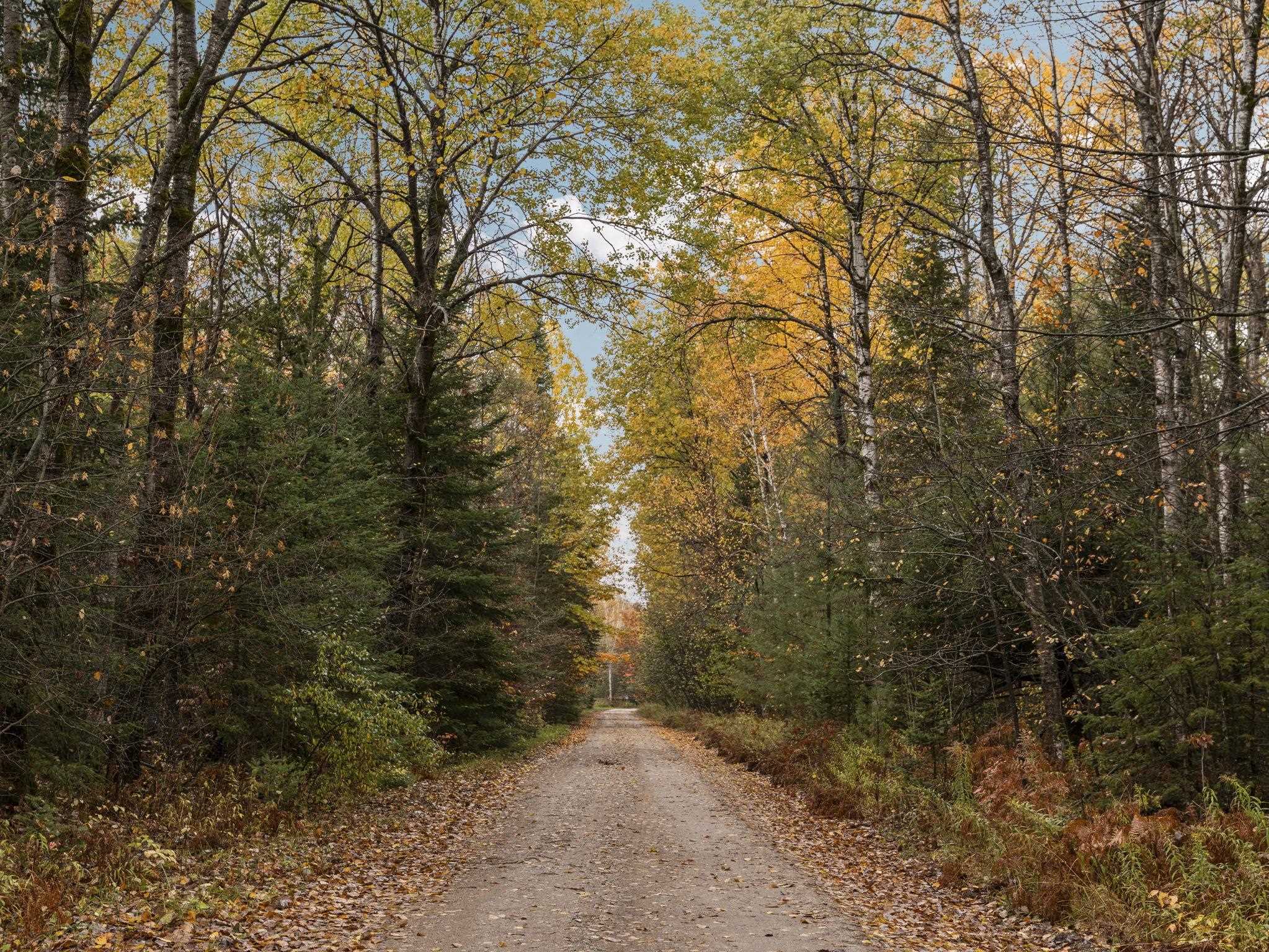 Homes for sale in Kingsley, MI | 3976 Irvin Rd, Kingsley, MI 49649 | MLS# 80063209