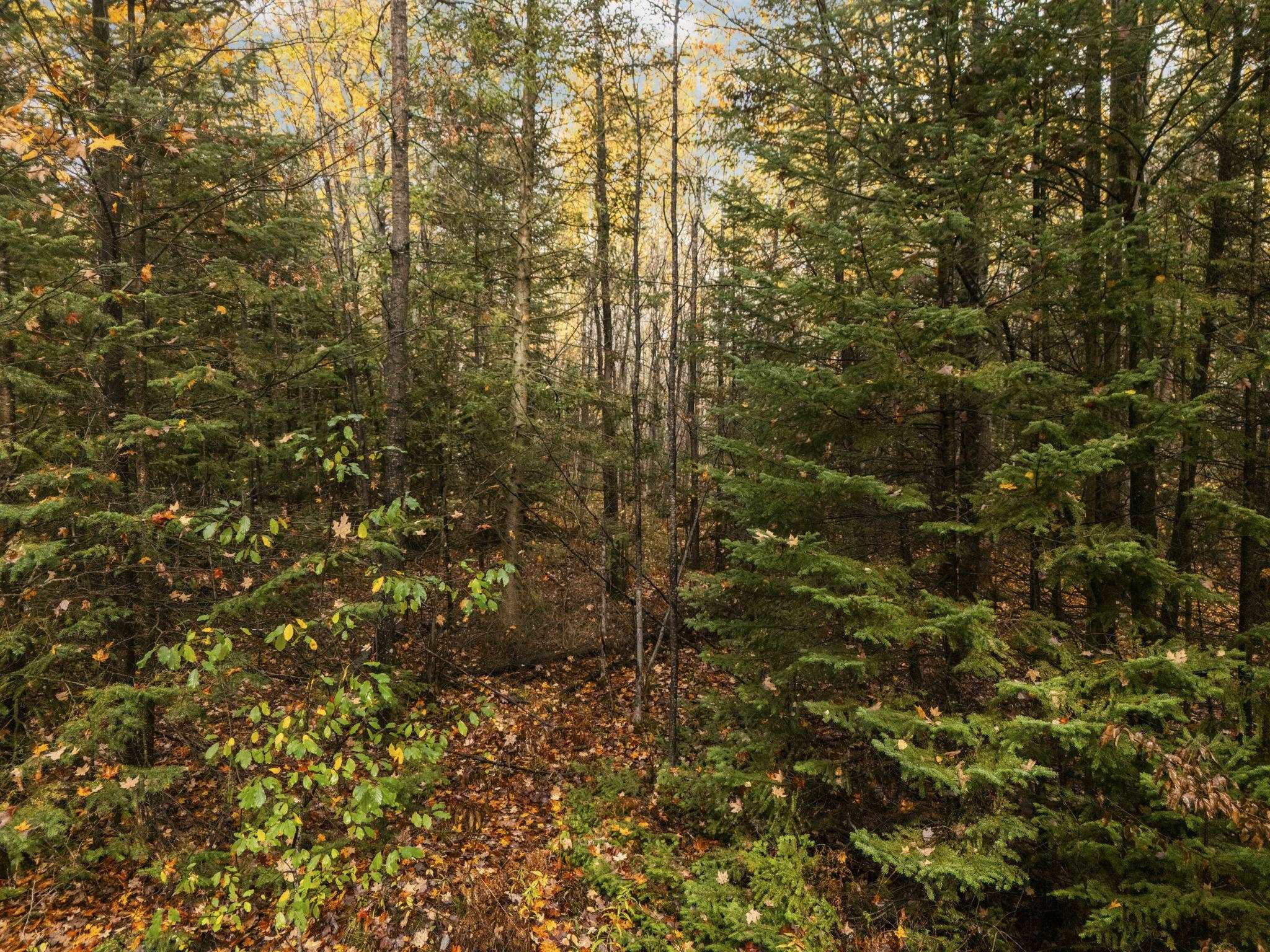 Homes for sale in Kingsley, MI | 3976 Irvin Rd, Kingsley, MI 49649 | MLS# 80063209