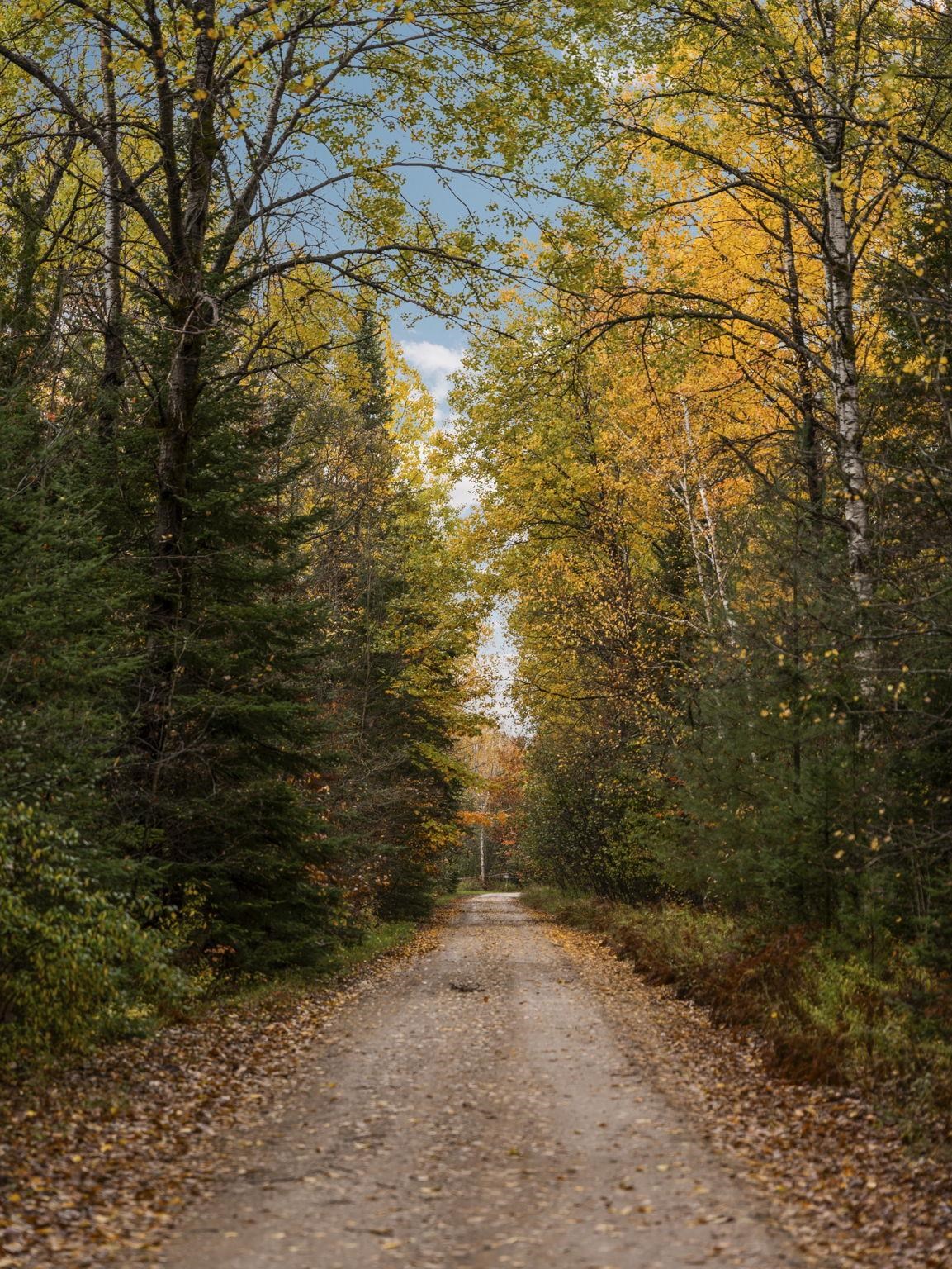 Homes for sale in Kingsley, MI | 3976 Irvin Rd, Kingsley, MI 49649 | MLS# 80063209