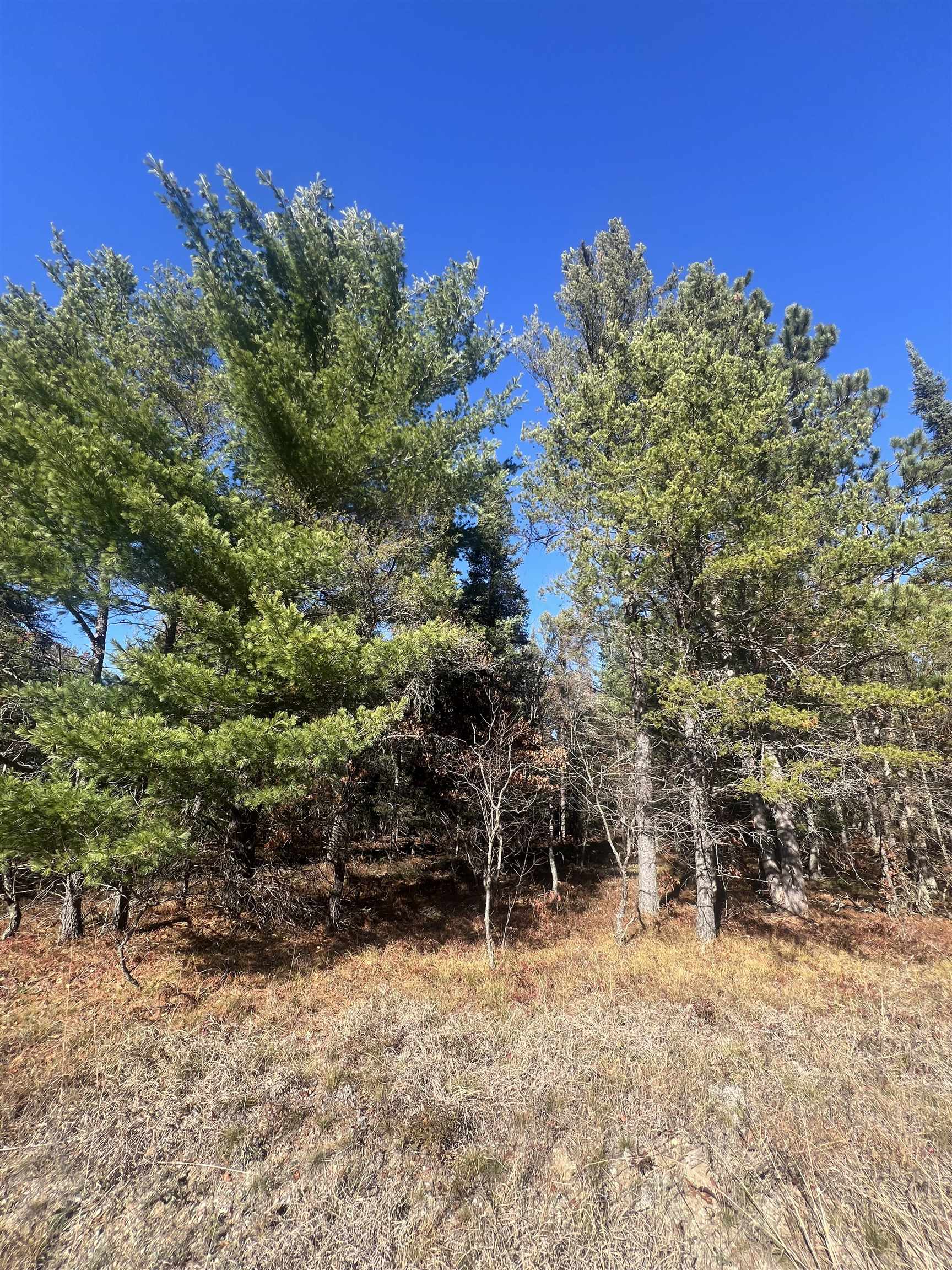 Homes for sale in Grayling, MI | 00 E North Down River Rd, Grayling, MI 49738 | MLS# 80063265