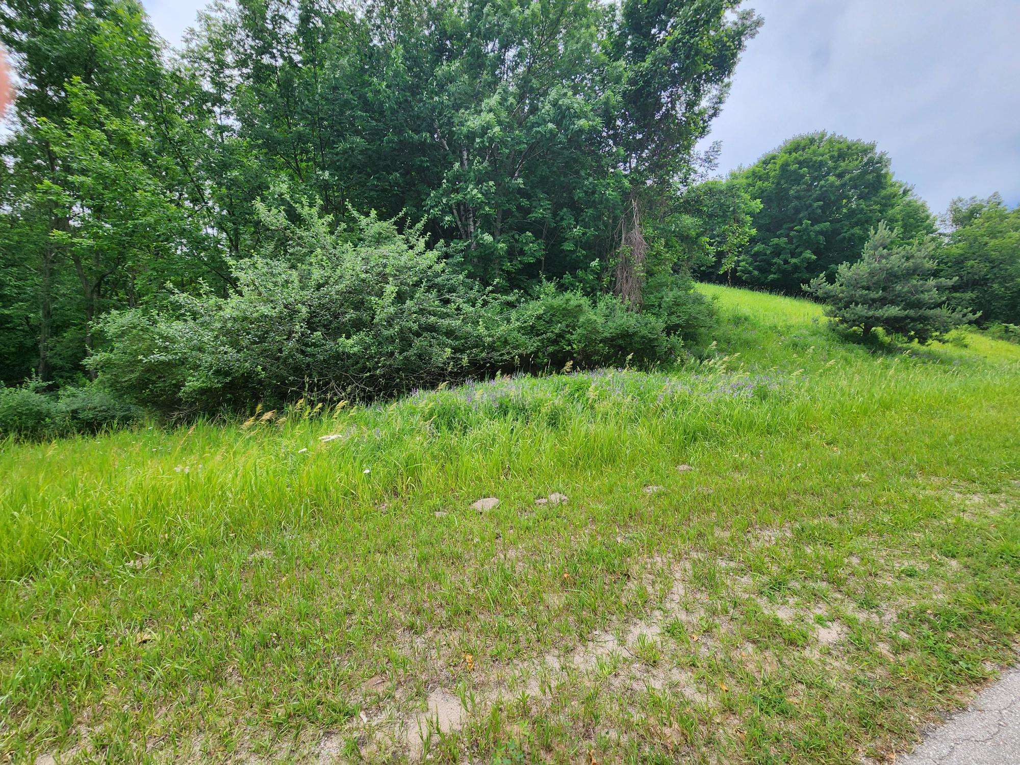 Homes for sale in Beulah, MI | 0000 Deer Ridge Trl, Beulah, MI 49617 | MLS# 80063588