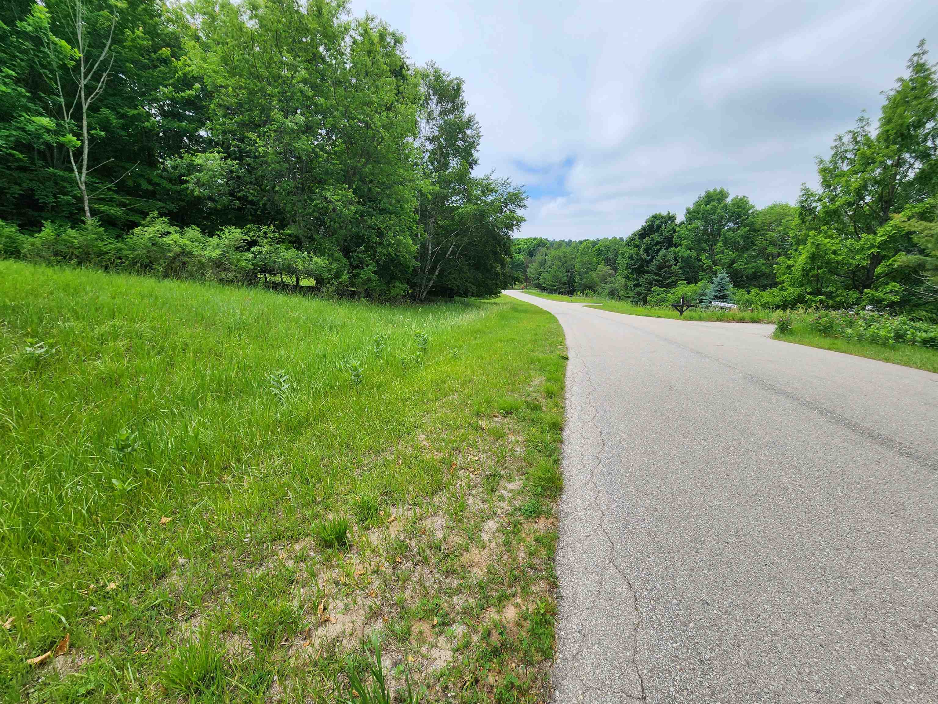 Homes for sale in Beulah, MI | 0000 Deer Ridge Trl, Beulah, MI 49617 | MLS# 80063588