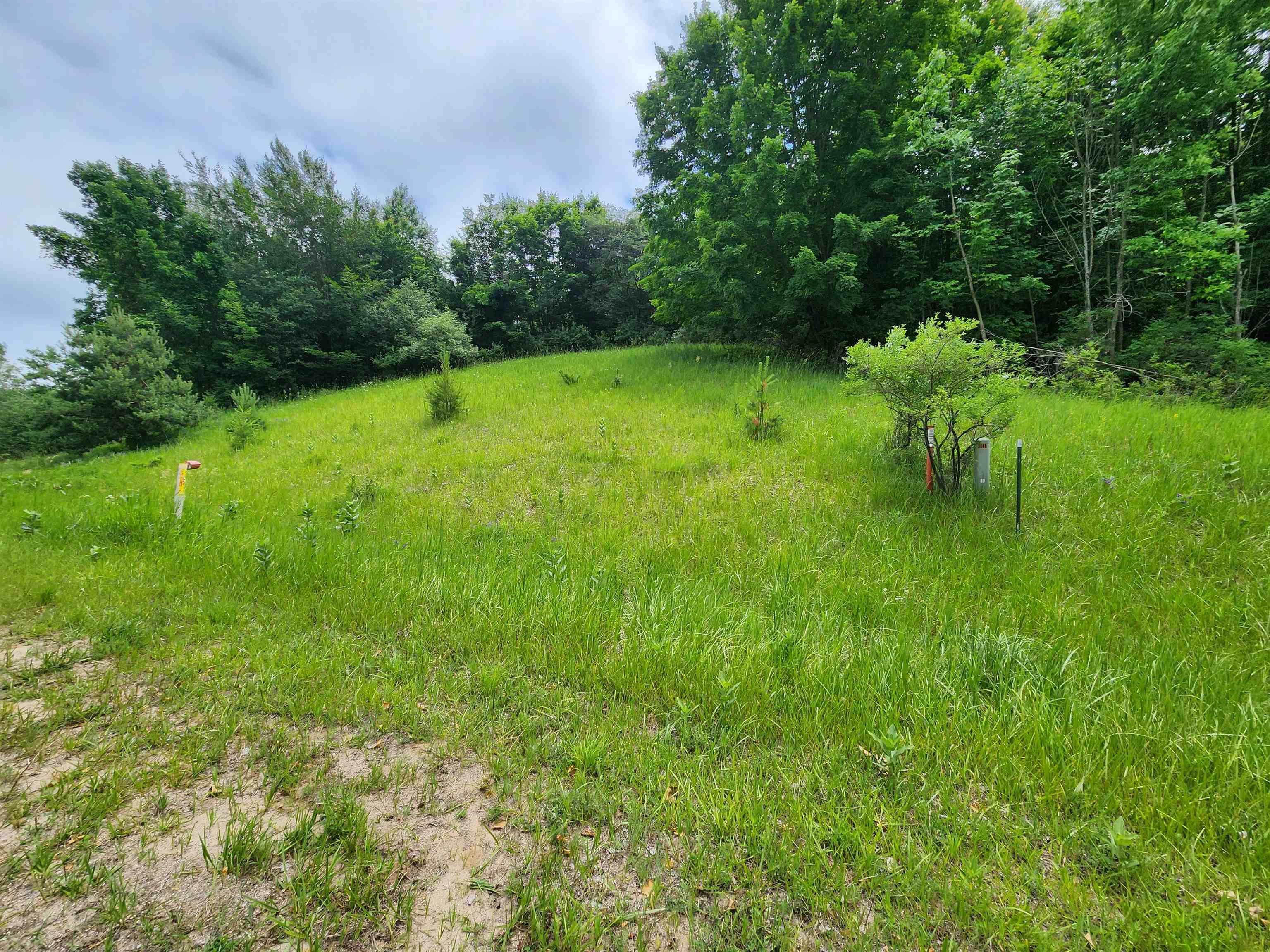 Homes for sale in Beulah, MI | 0000 Deer Ridge Trl, Beulah, MI 49617 | MLS# 80063588