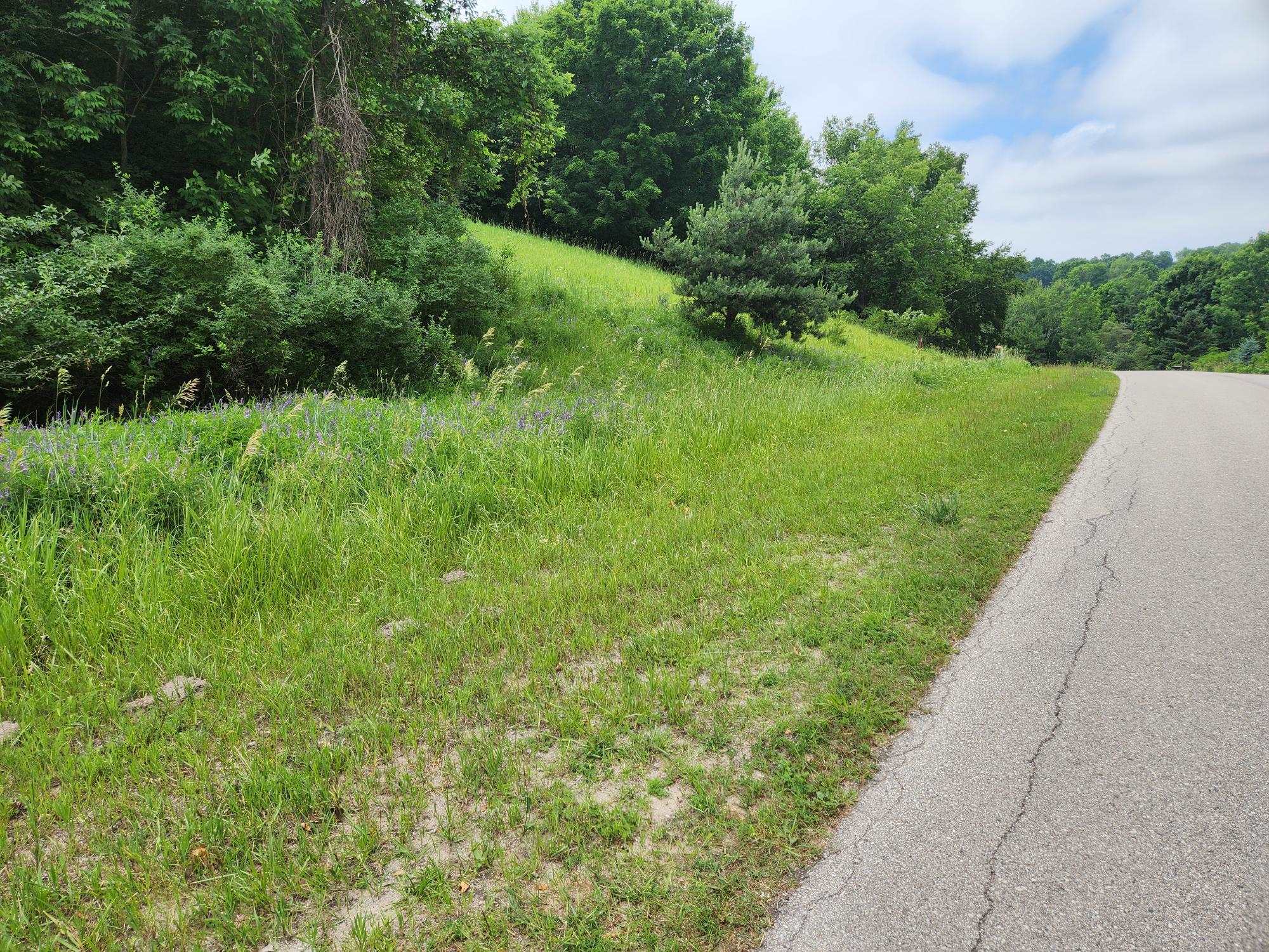 Homes for sale in Beulah, MI | 0000 Deer Ridge Trl, Beulah, MI 49617 | MLS# 80063588