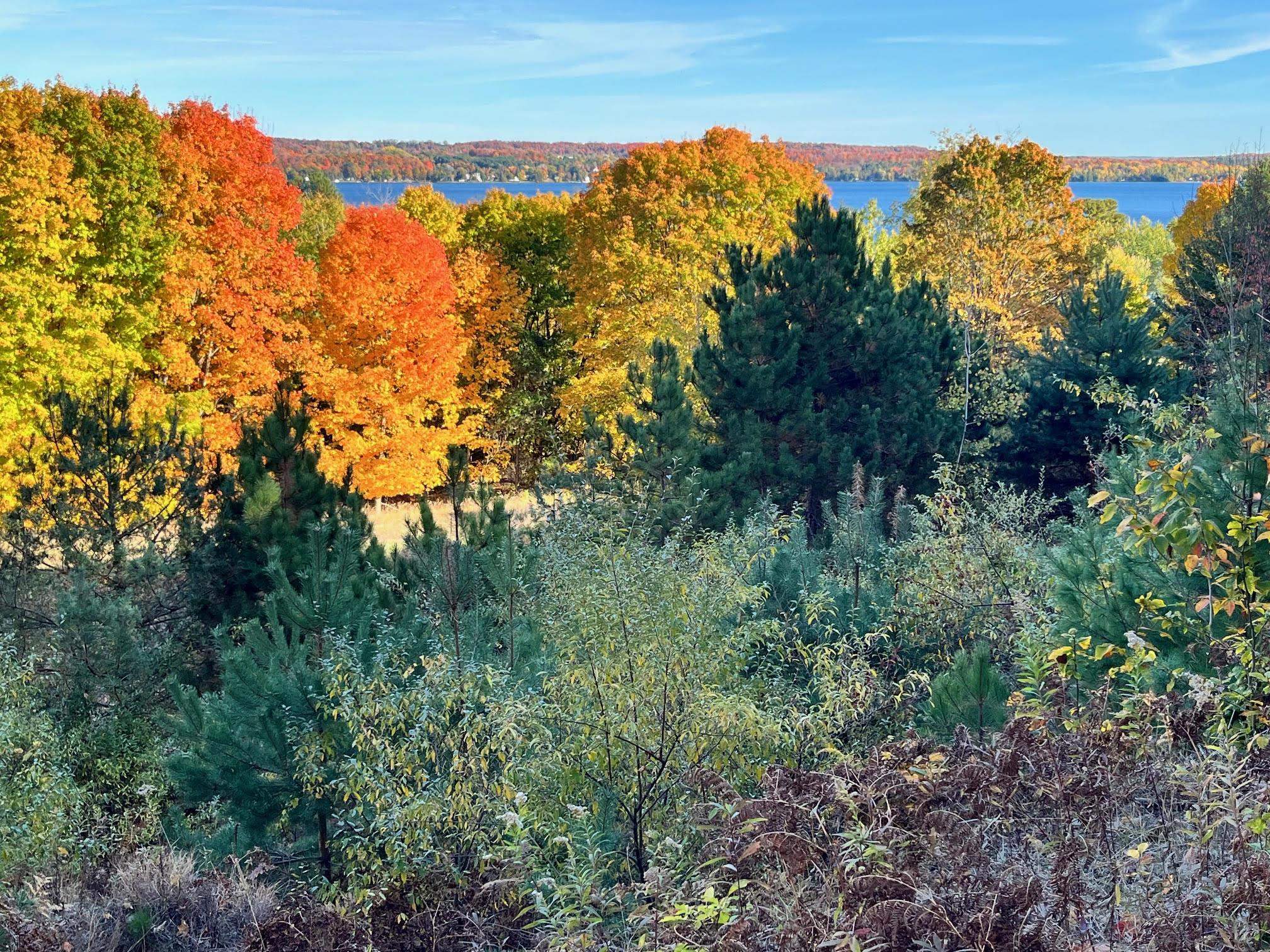 Homes for sale in Cedar, MI | 00 S Lake Shore Dr, Cedar, MI 49621 | MLS# 80063612