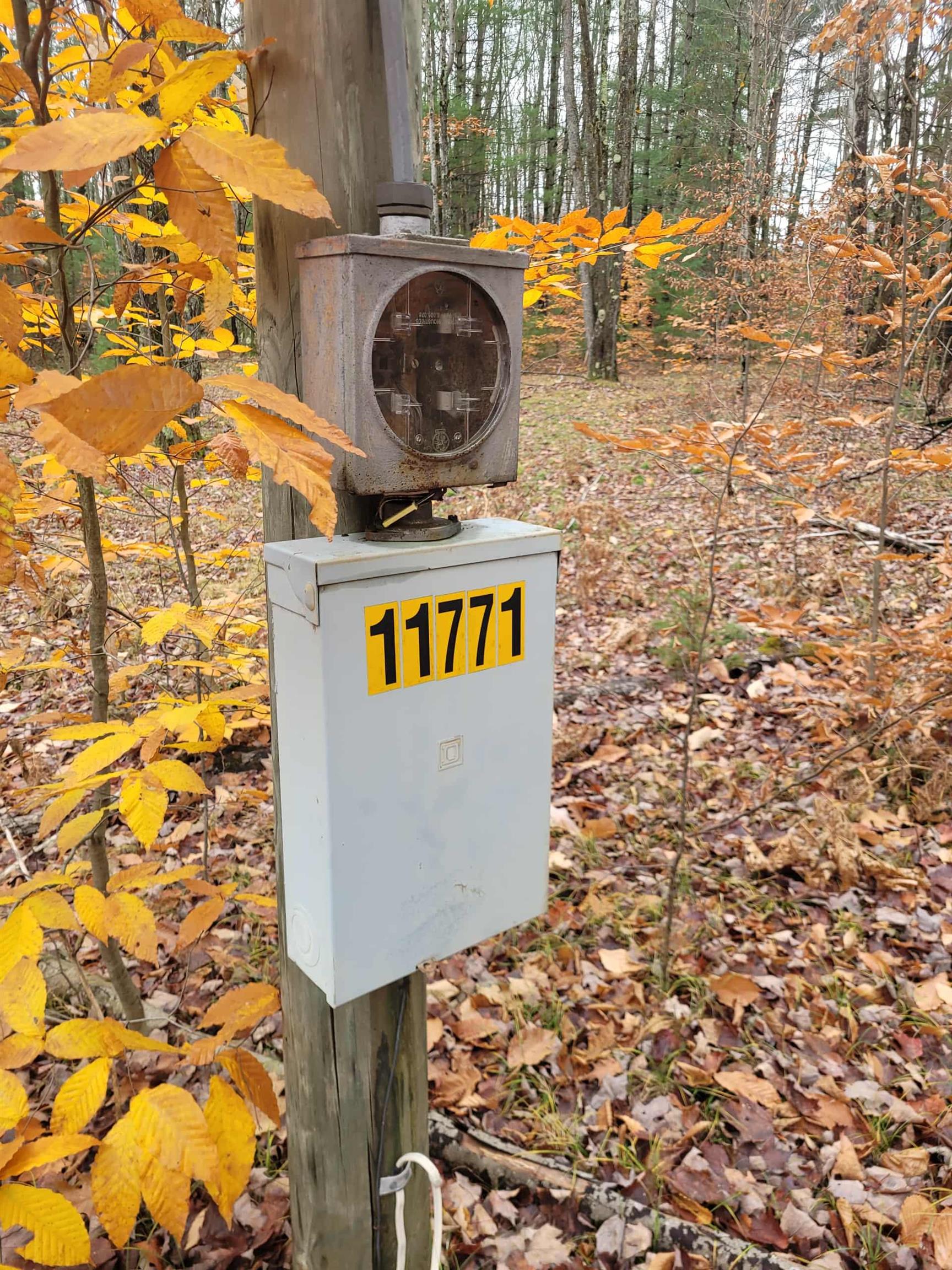 Homes for sale in Mesick, MI | 11771 W 16 Rd, Mesick, MI 49668 | MLS# 80063663