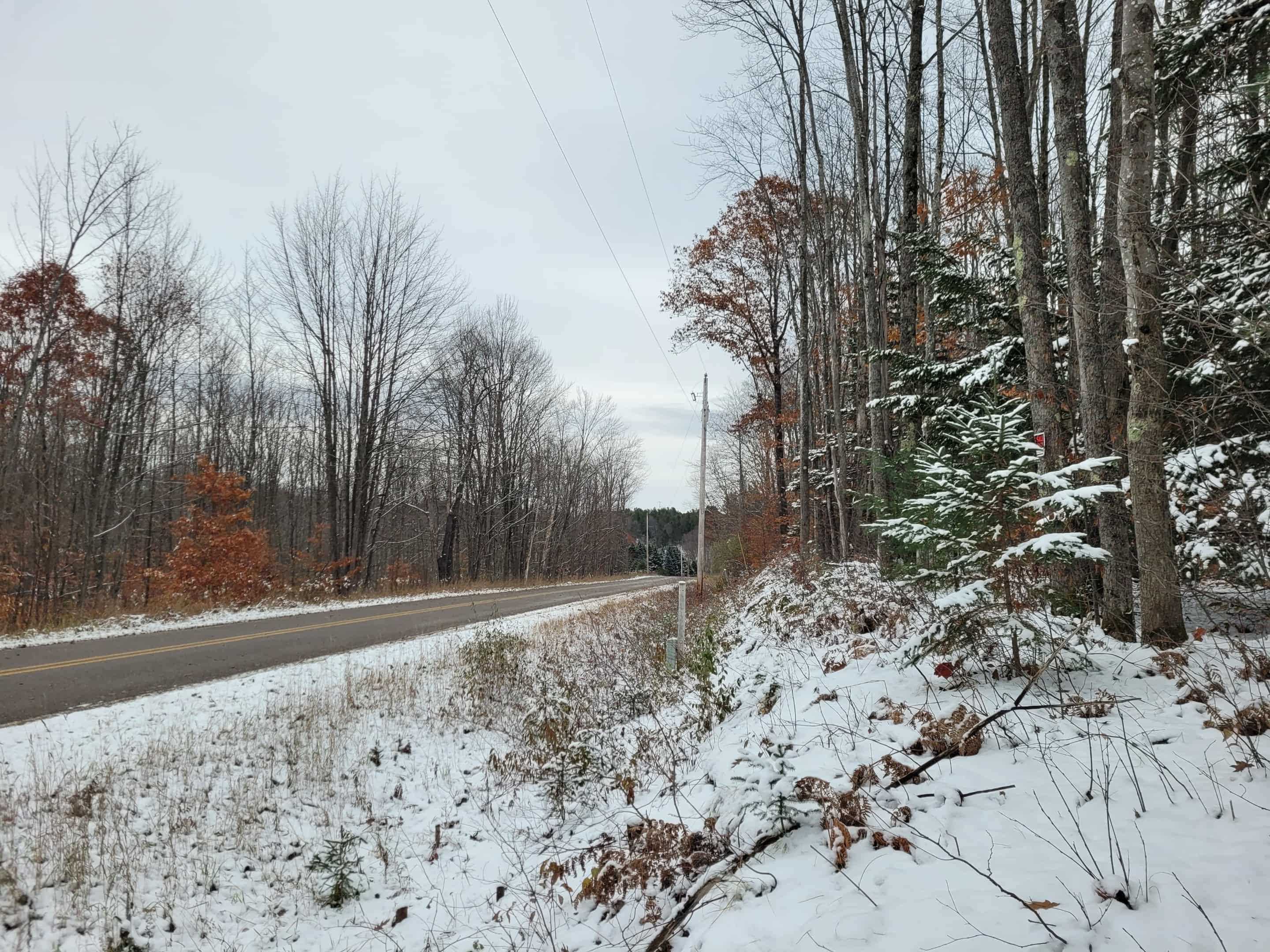 Homes for sale in Mesick, MI | 11771 W 16 Rd, Mesick, MI 49668 | MLS# 80063663