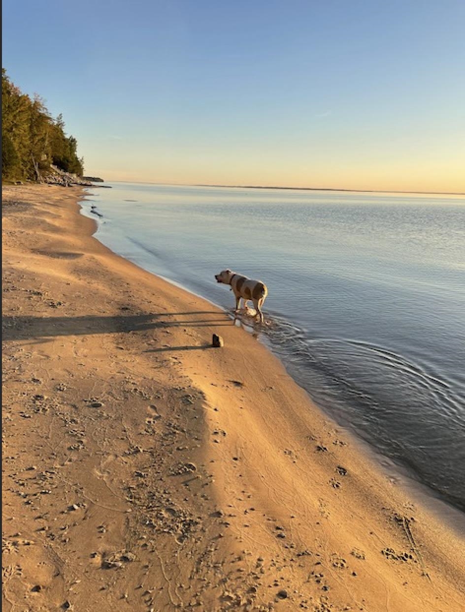 Homes for sale in Kewadin, MI | 12851 Manitou Trl, Kewadin, MI 49648 | MLS# 80064149