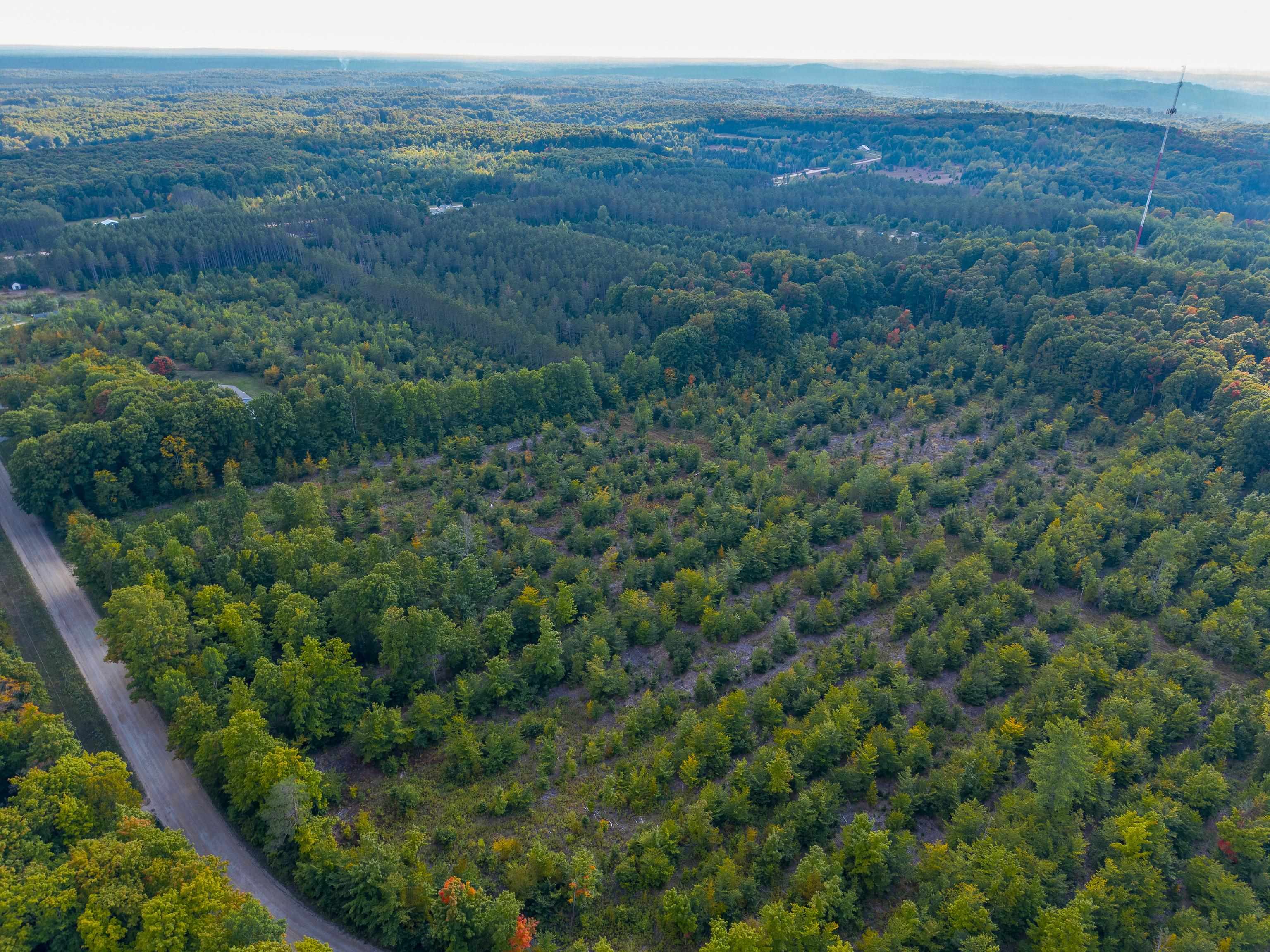 Homes for sale in Rapid City, MI | Vl 175a Nw Walker Road, Nw, Rapid City, MI 49676 | MLS# 80064174