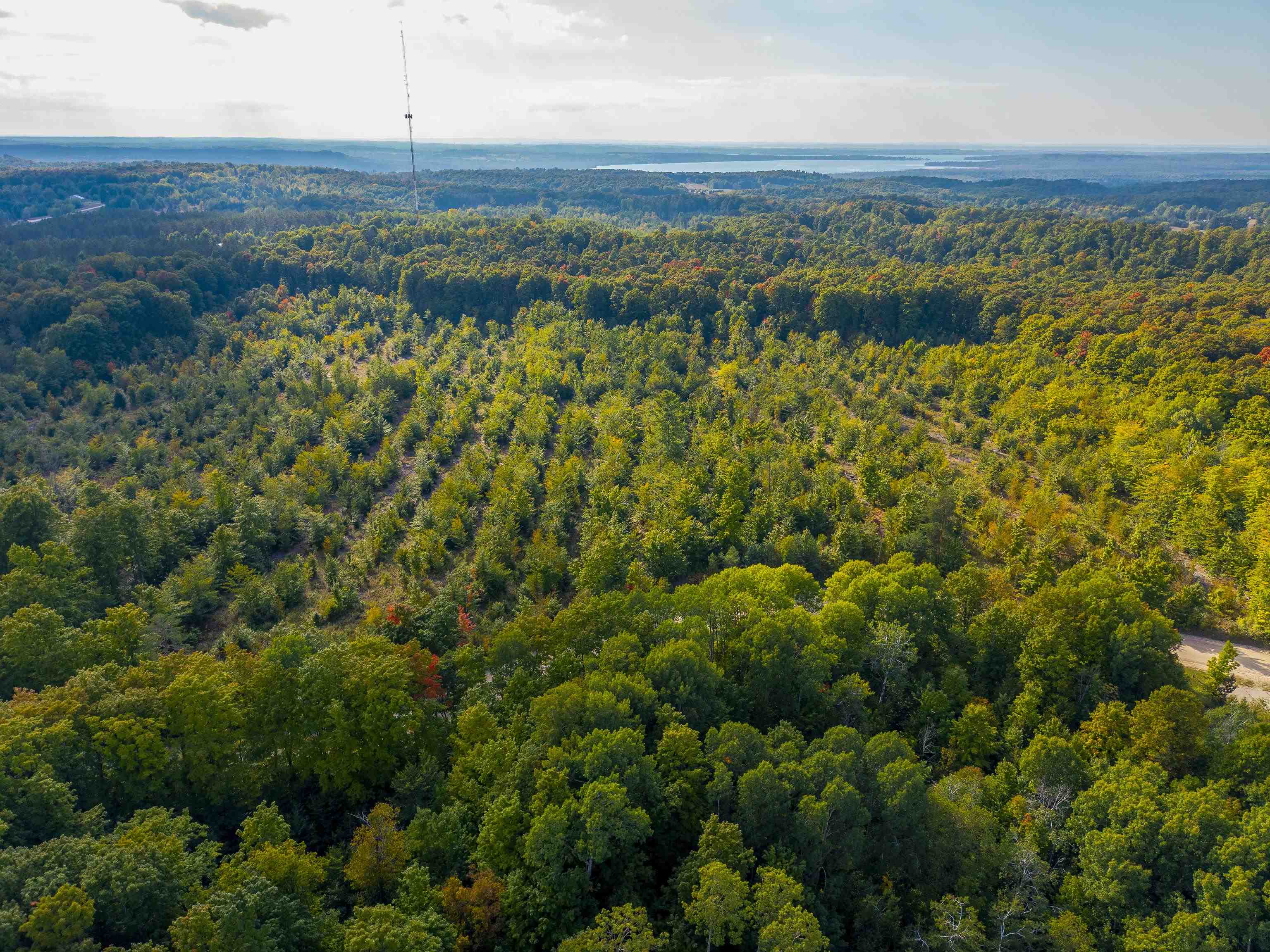 Homes for sale in Rapid City, MI | Vl 175A Nw Walker Road, Nw, Rapid City, MI 49676 | MLS# 80064174