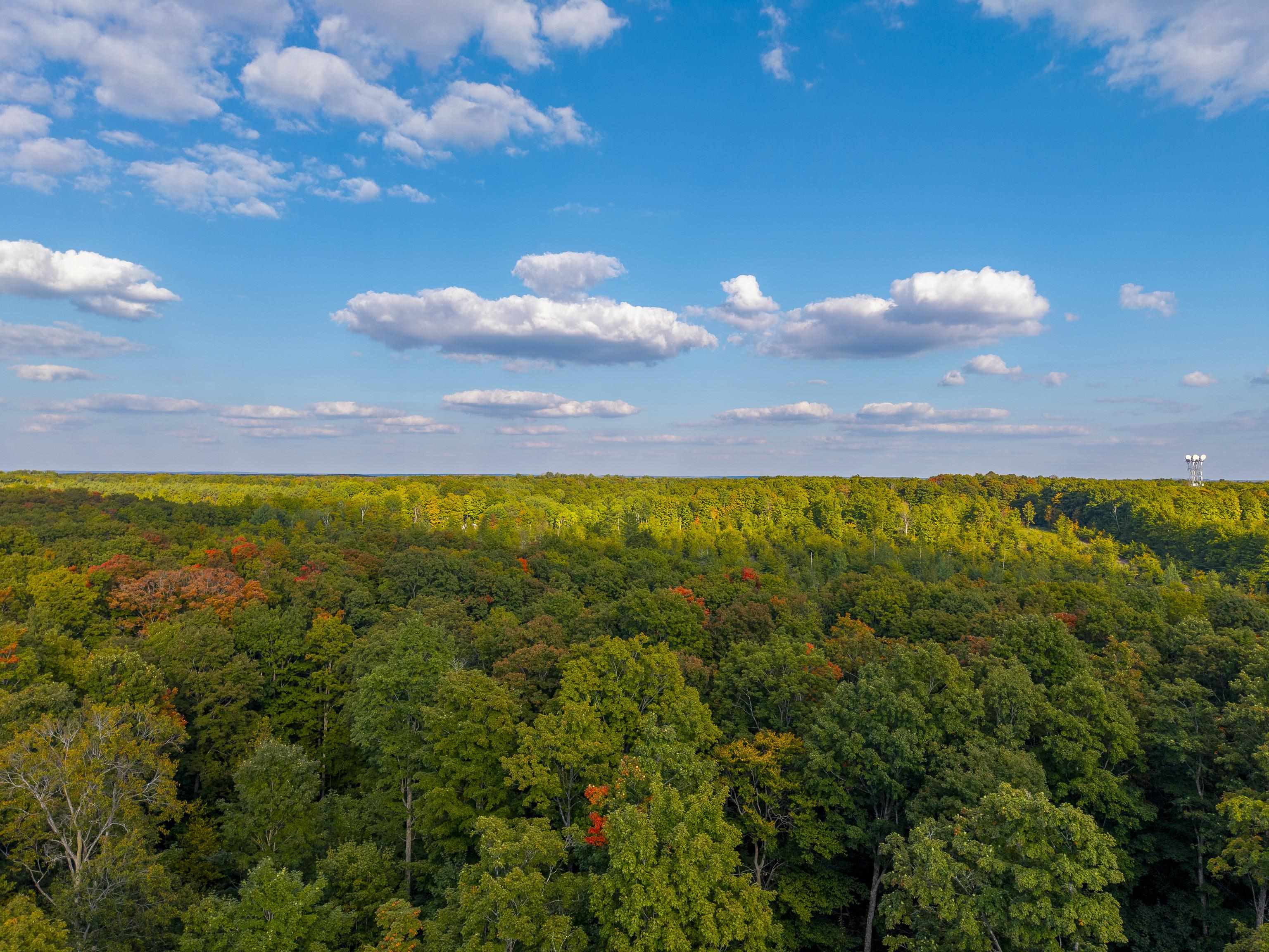 Homes for sale in Rapid City, MI | Vl 175a Nw Walker Road, Nw, Rapid City, MI 49676 | MLS# 80064174