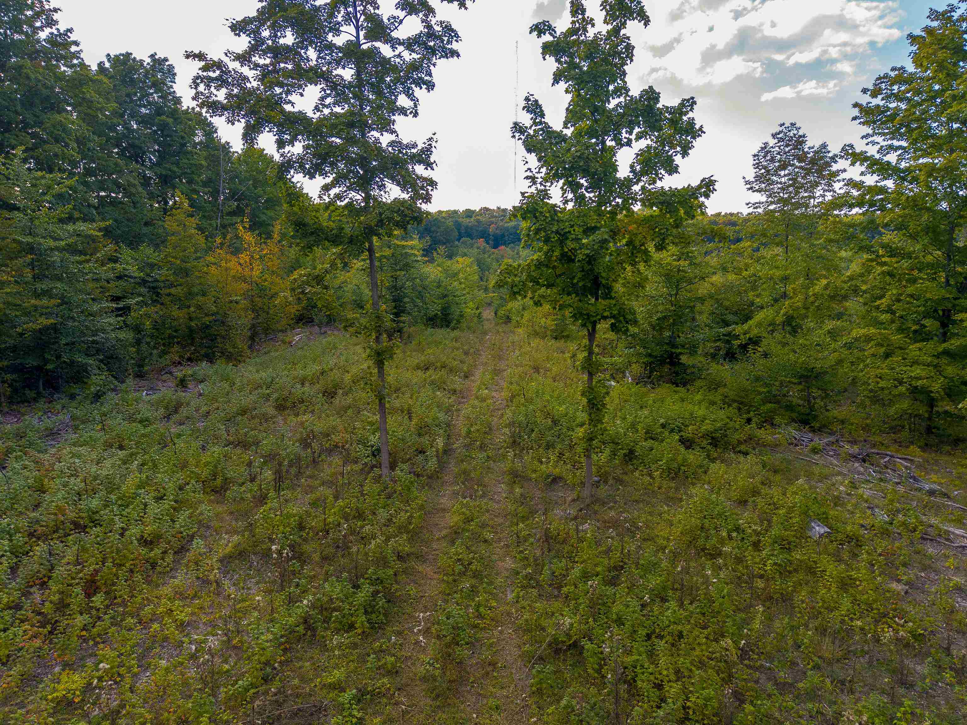 Homes for sale in Rapid City, MI | Vl 175A Nw Walker Road, Nw, Rapid City, MI 49676 | MLS# 80064174