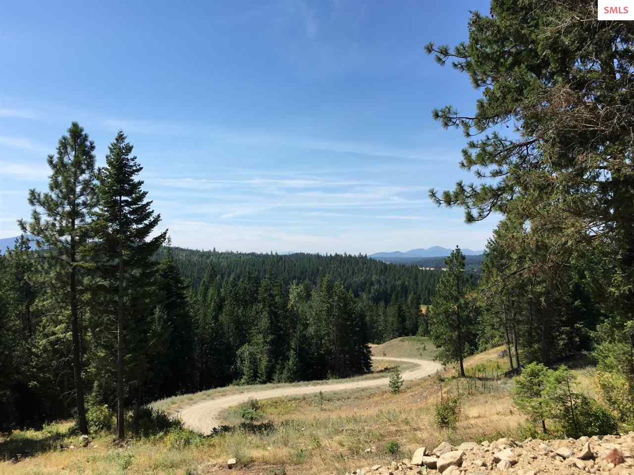 NNA Hagans Hollow Rd., Careywood, ID 83809 (Off Market MyStateMLS