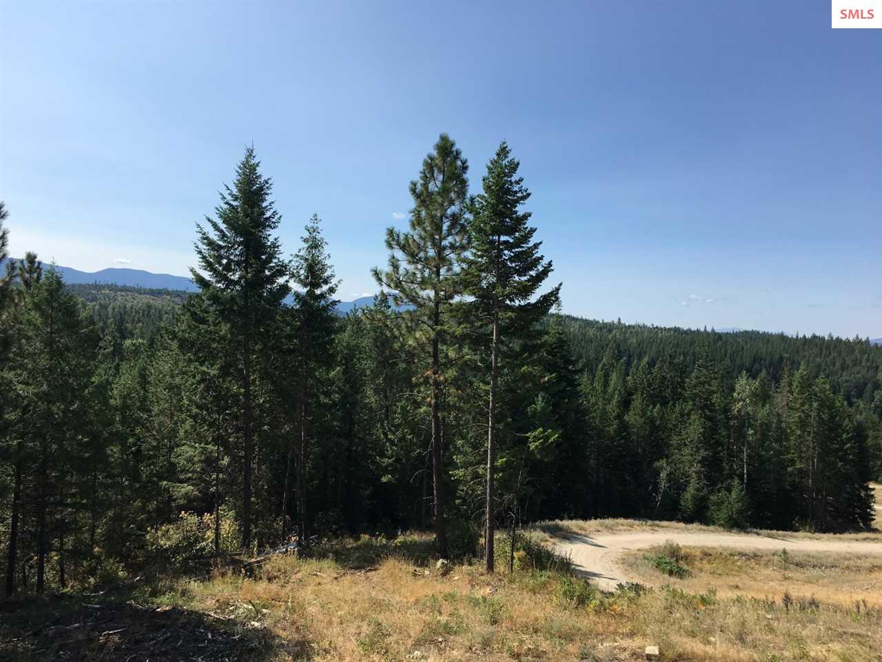 NNA Hagans Hollow Rd., Careywood, ID 83809 (Off Market NYStateMLS