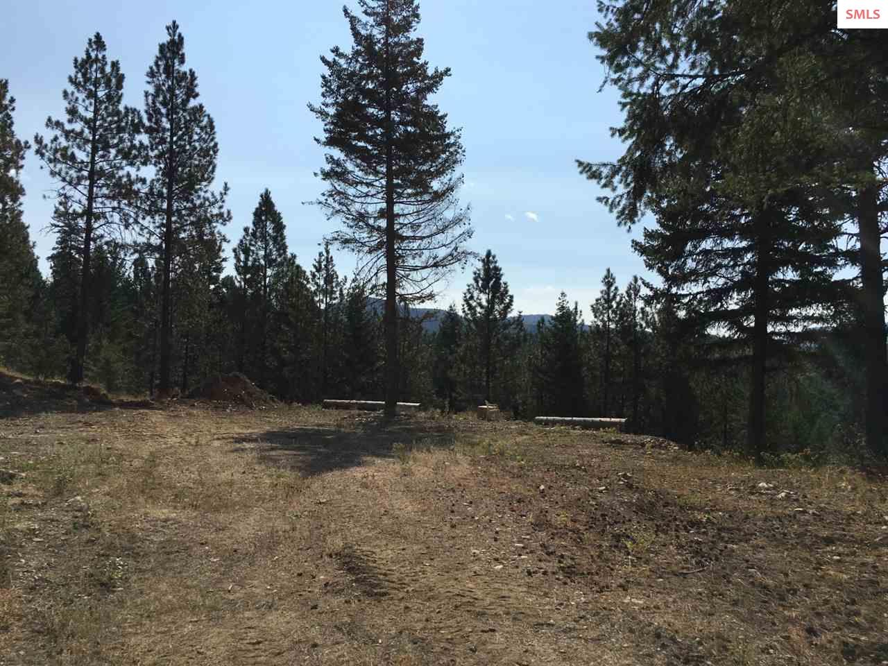 NNA Hagans Hollow Rd., Careywood, ID 83809 (Off Market MyStateMLS