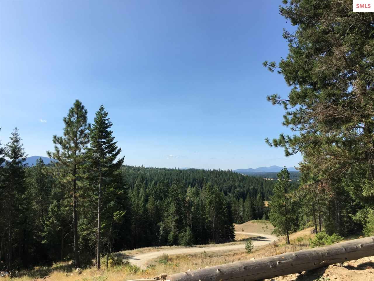 NNA Hagans Hollow Rd., Careywood, ID 83809 (Off Market NYStateMLS
