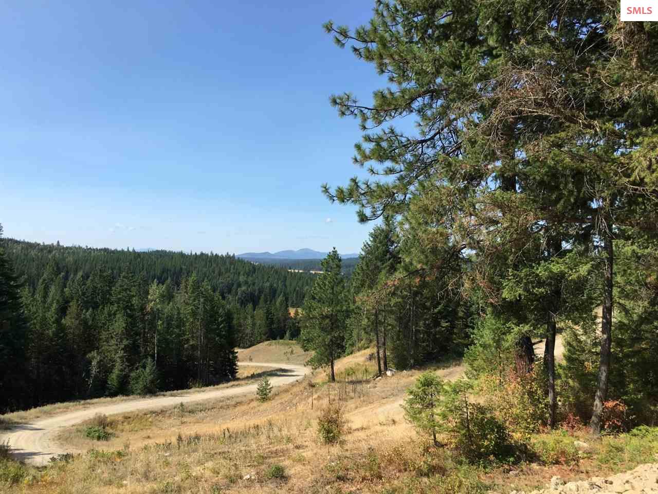 NNA Hagans Hollow Rd., Careywood, ID 83809 (Off Market MyStateMLS