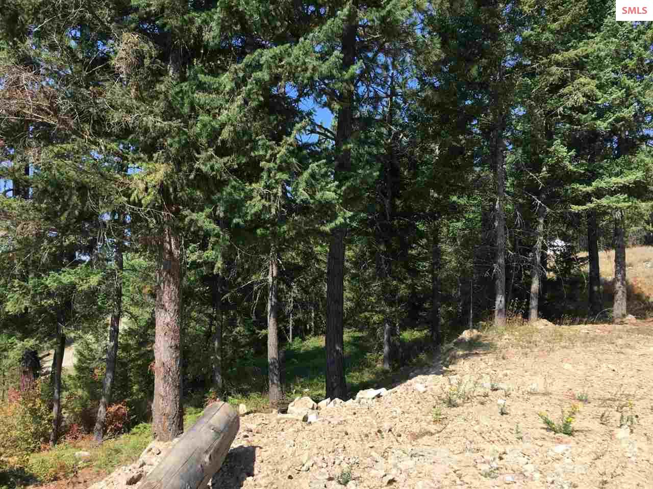 NNA Hagans Hollow Rd., Careywood, ID 83809 (Off Market MyStateMLS