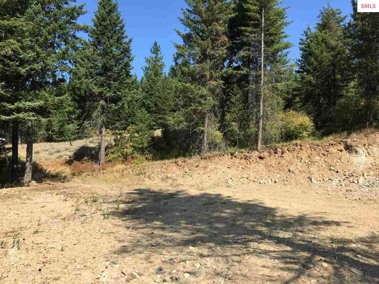 NNA Hagans Hollow Rd., Careywood, ID 83809 (Off Market MyStateMLS