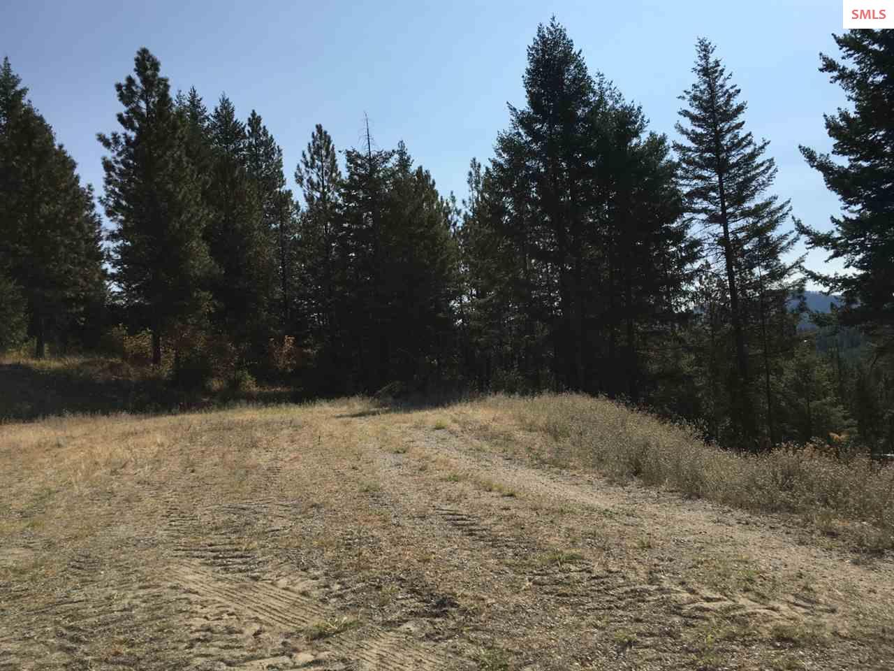 NNA Hagans Hollow Rd., Careywood, ID 83809 (Off Market MyStateMLS