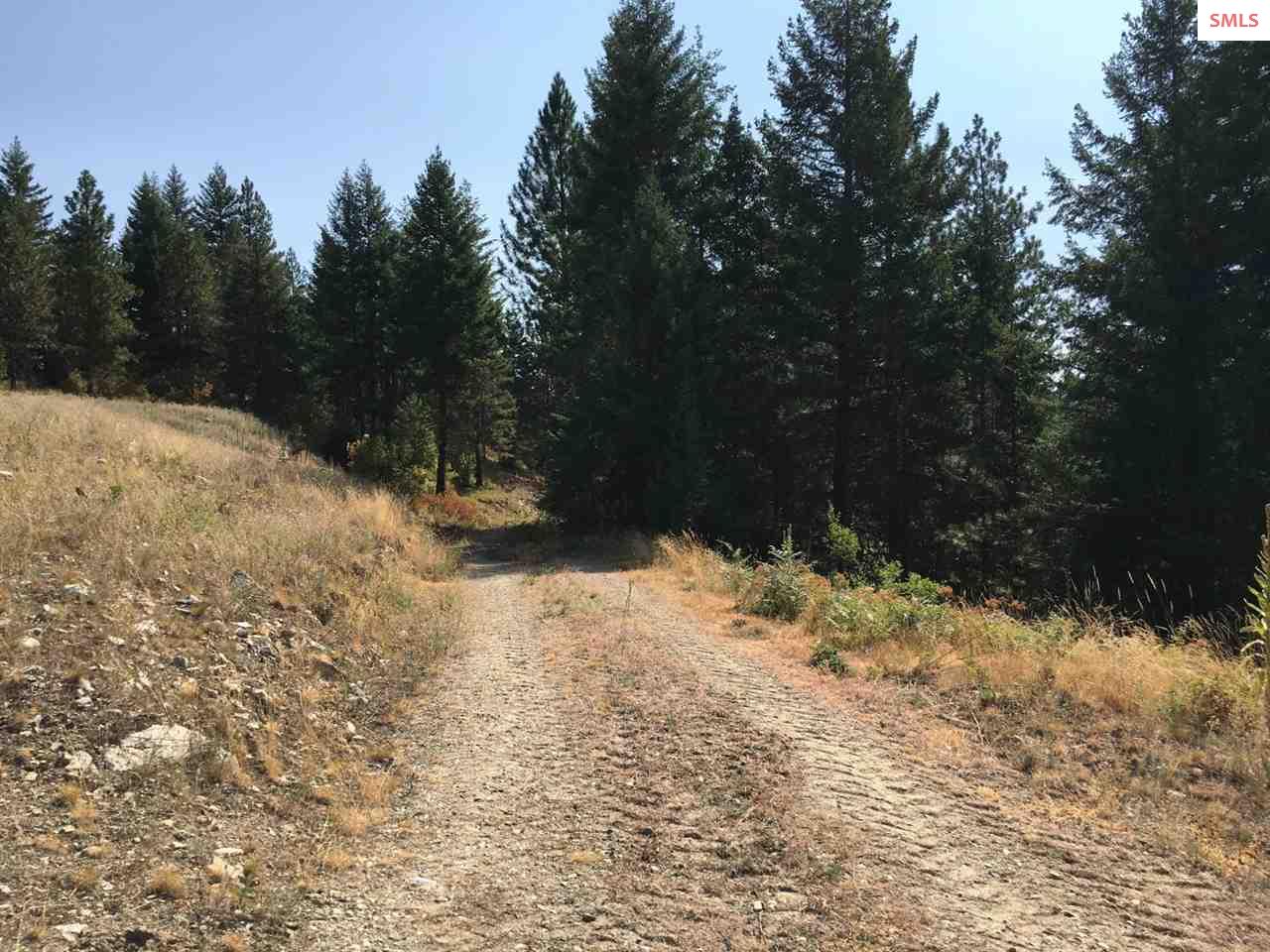 NNA Hagans Hollow Rd., Careywood, ID 83809 (Off Market NYStateMLS