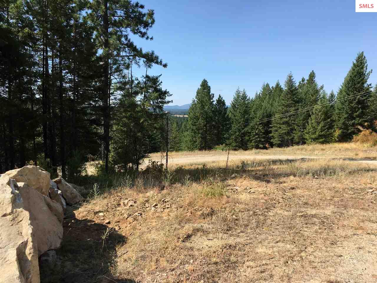 NNA Hagans Hollow Rd., Careywood, ID 83809 (Off Market NYStateMLS