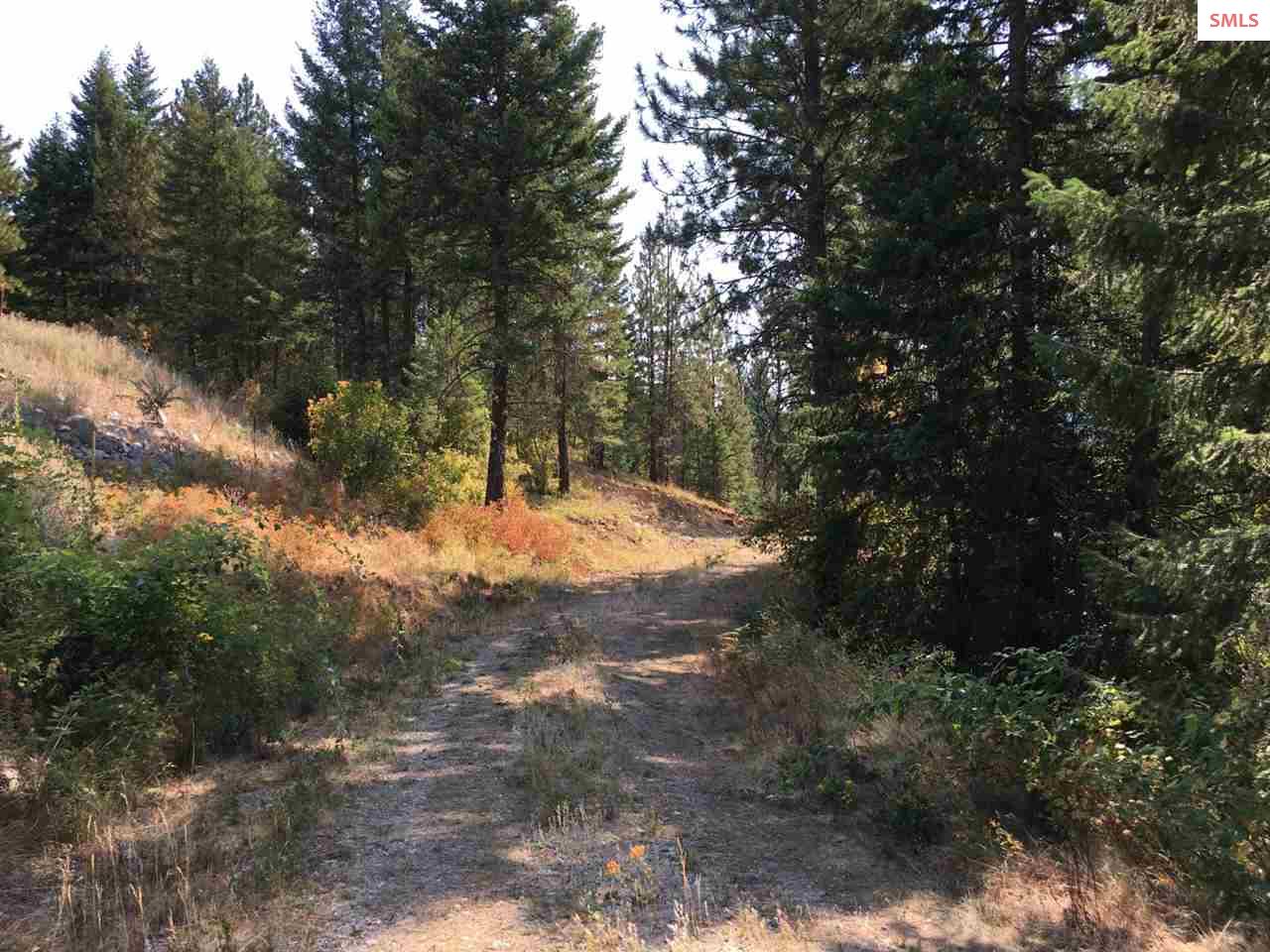 NNA Hagans Hollow Rd., Careywood, ID 83809 (Off Market NYStateMLS