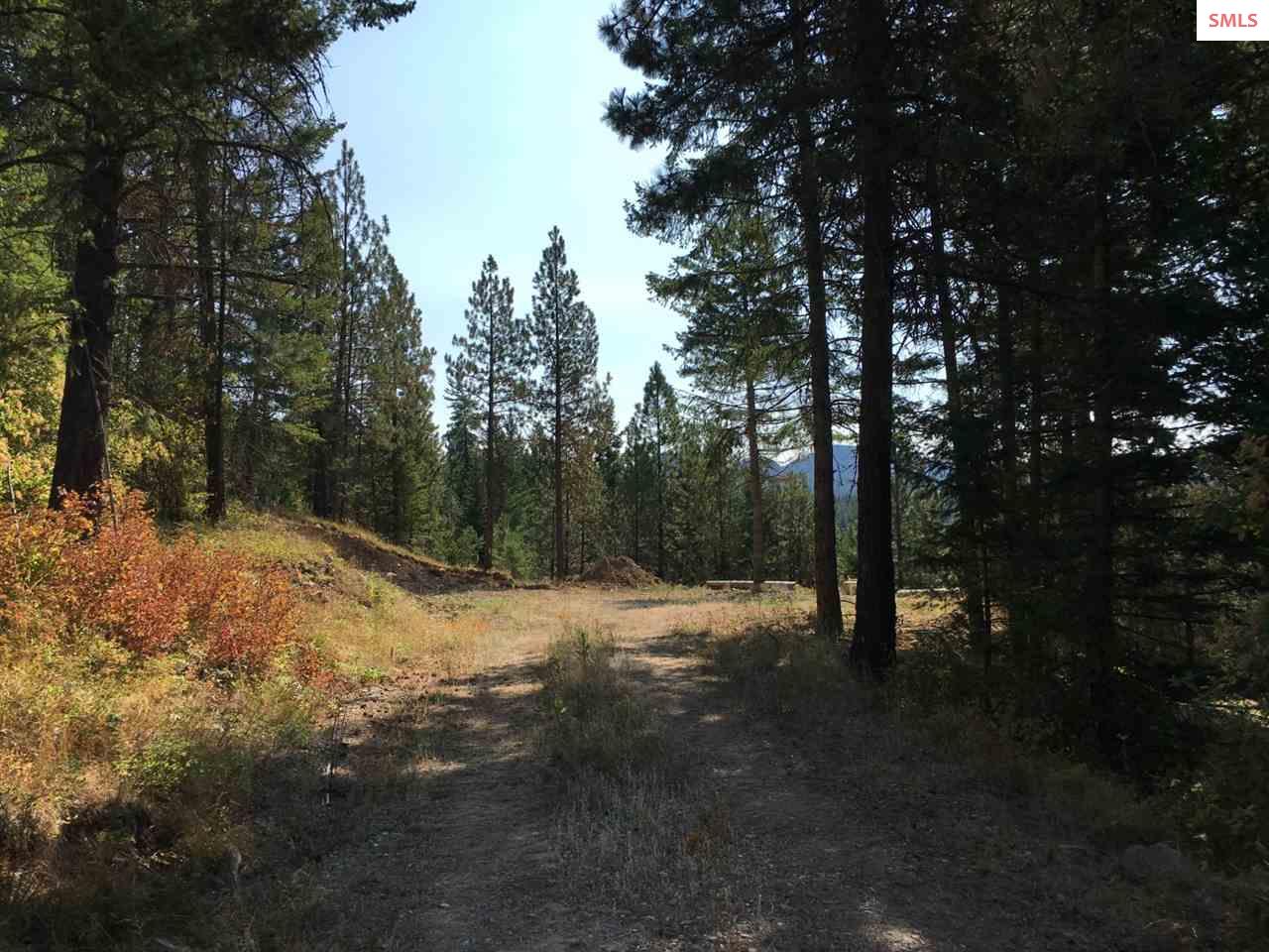 NNA Hagans Hollow Rd., Careywood, ID 83809 (Off Market MyStateMLS
