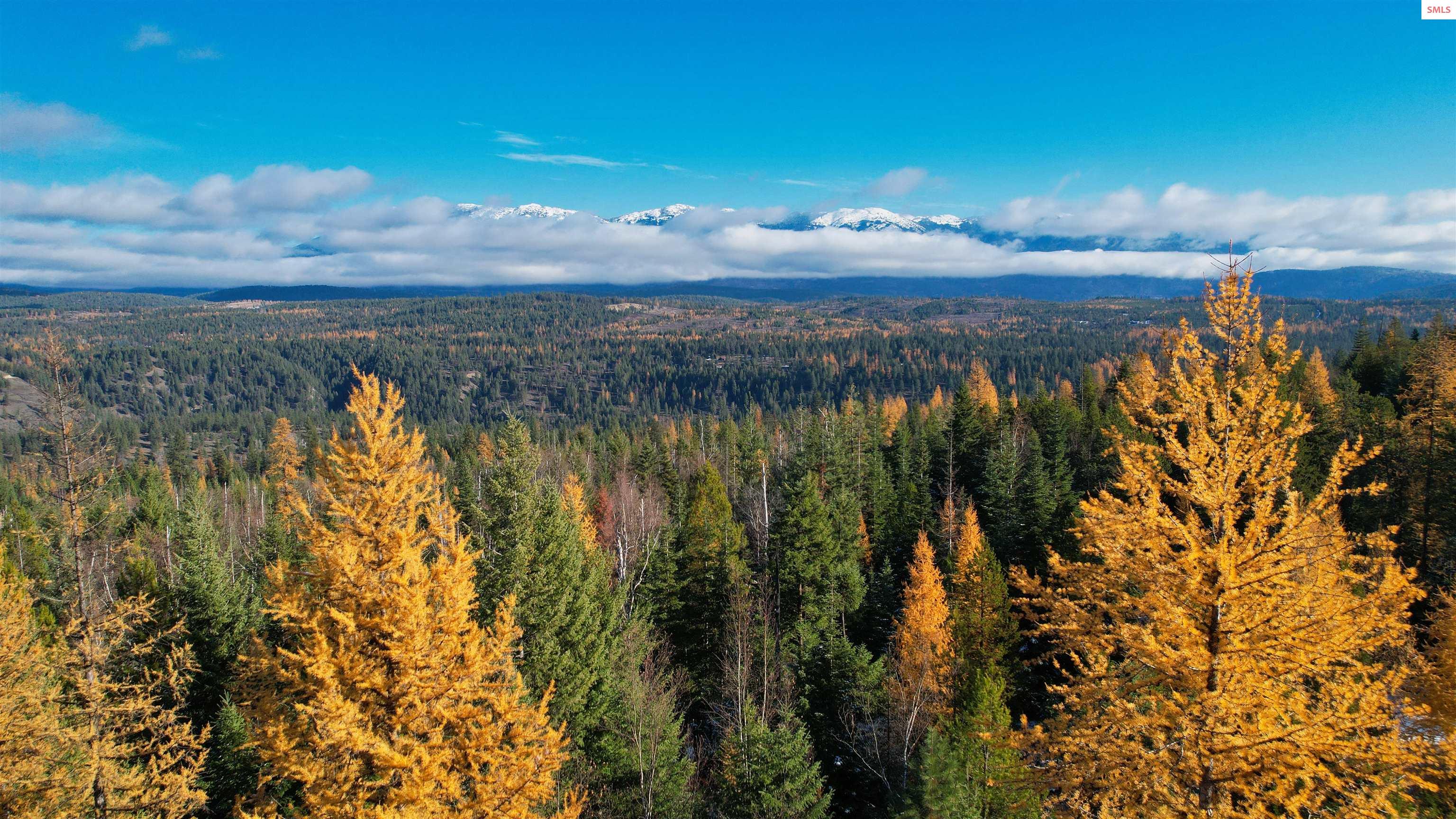 Our Realtors Shelman Realty