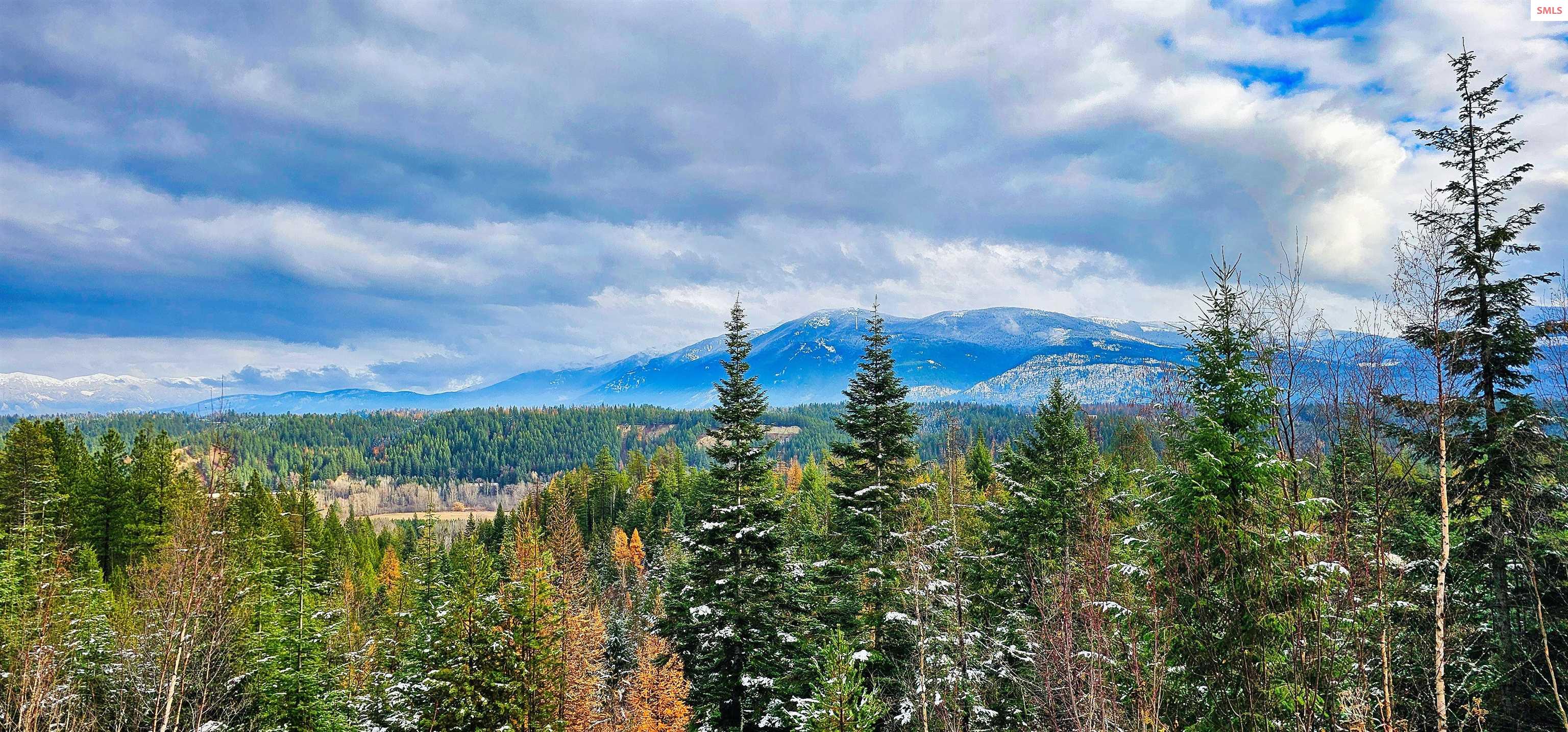 NNA 10 Acres Juniper Lane #1