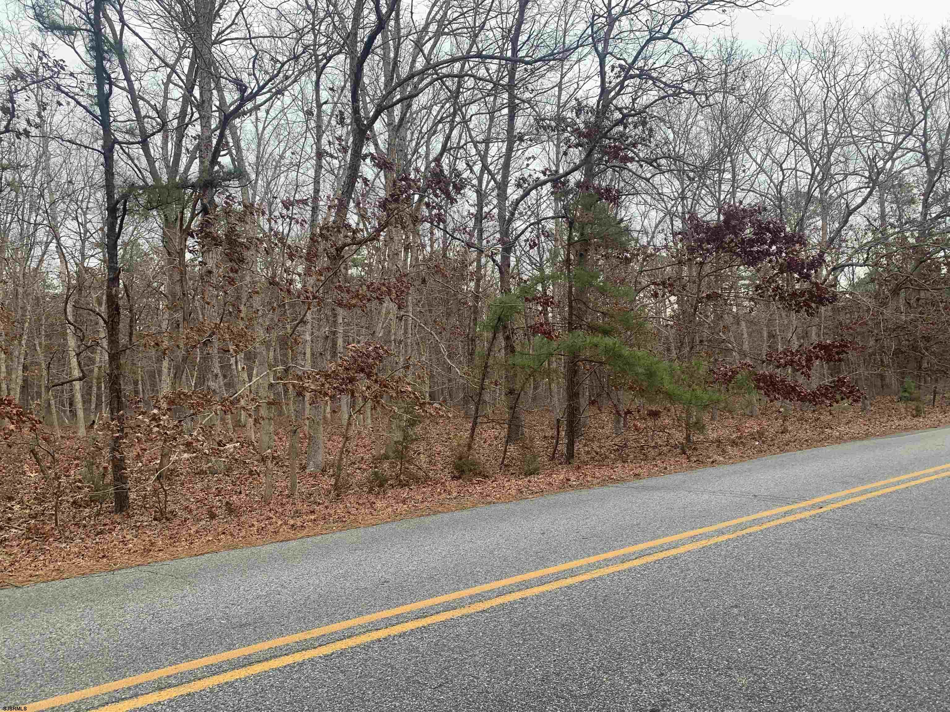662 Dogwood Avenue - Picture 1