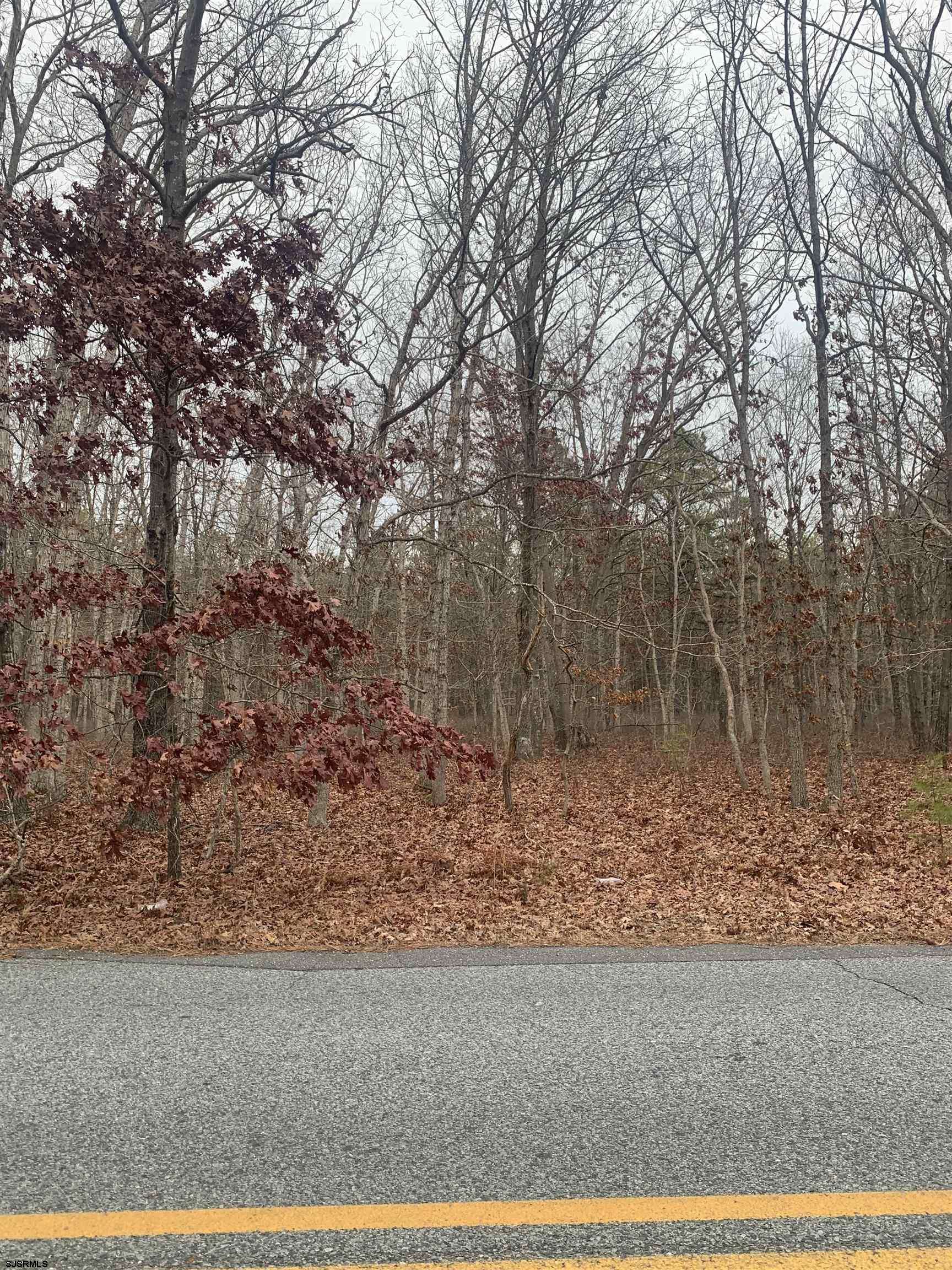 662 Dogwood Avenue - Picture 2
