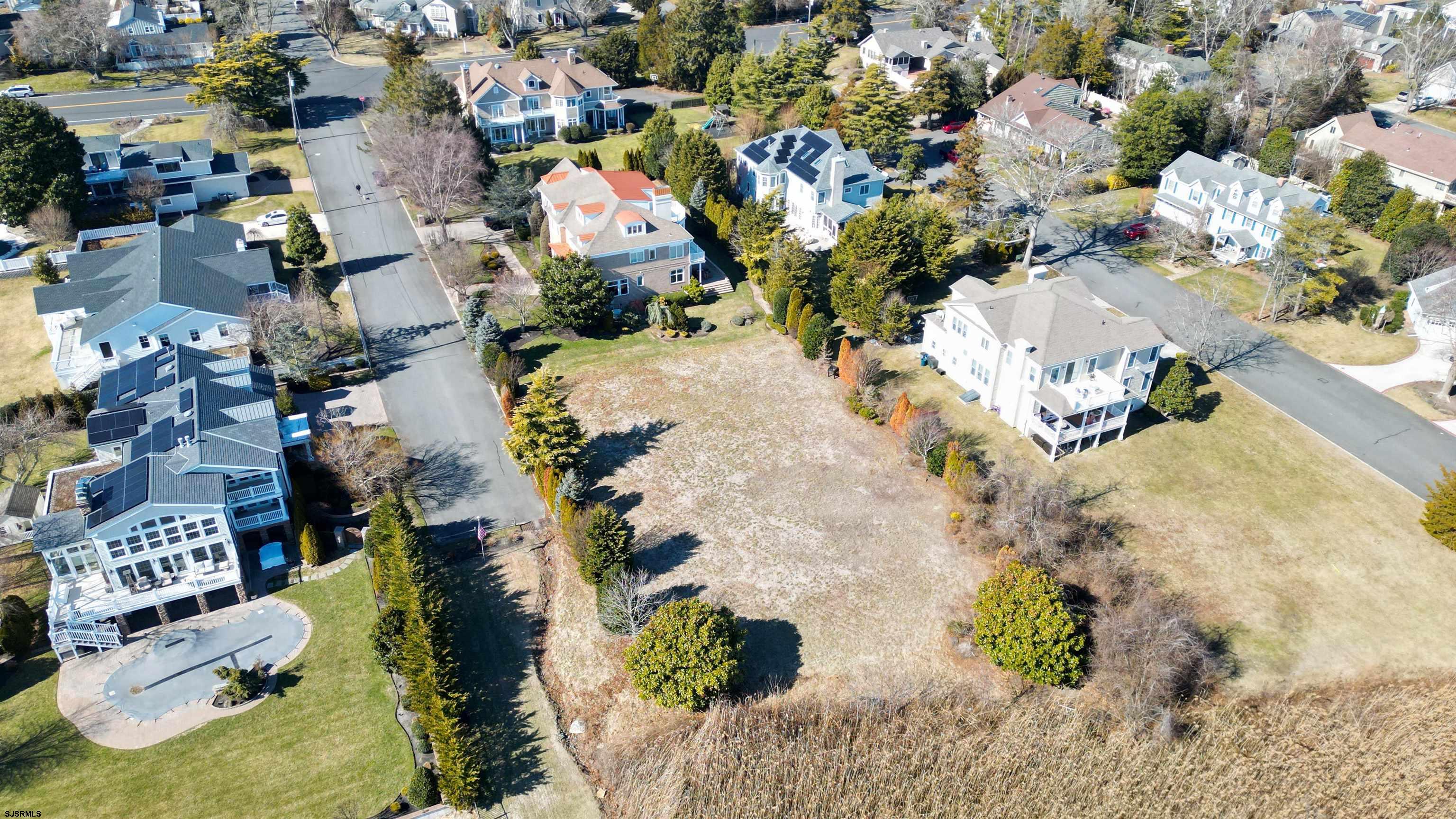 208 Balfour Avenue